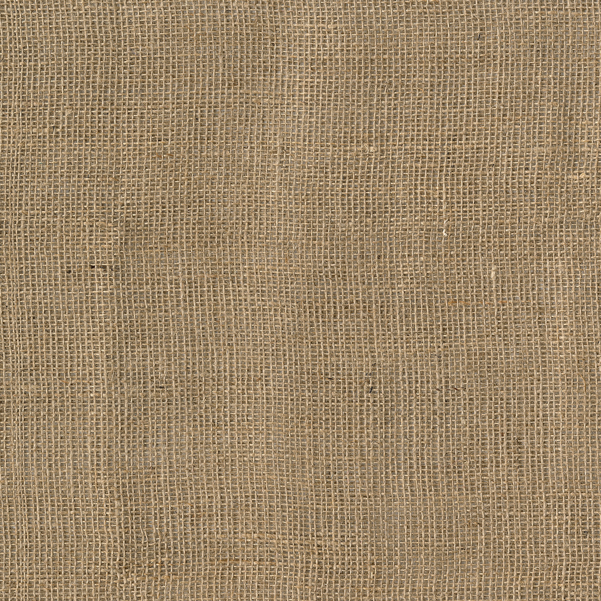 Display product Ap Digital 4 | Wallpaper DD108830 Canvas from manufacturer Architects Paper
