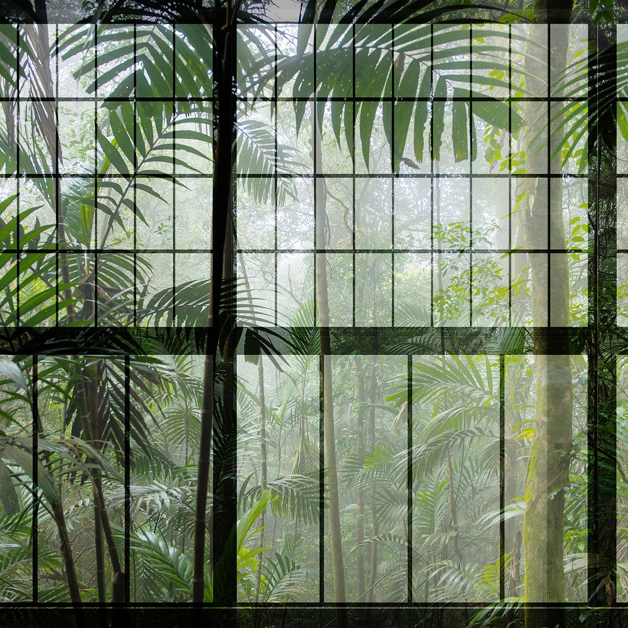 Produkt Walls By Patel 2 | Wallpaper DD113737 Rainforest 1 des Herstellers Architects Paper anzeigen