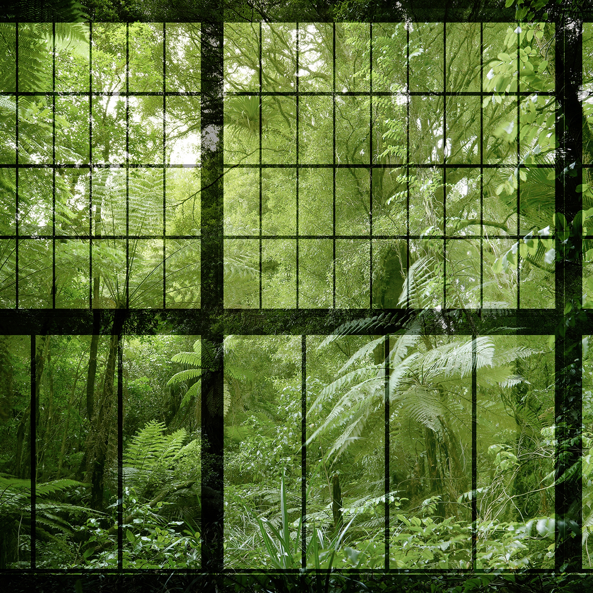Produkt Walls By Patel 2 | Tapete | Digitaldruck DD113742 Rainforest 2 des Herstellers Architects Paper anzeigen