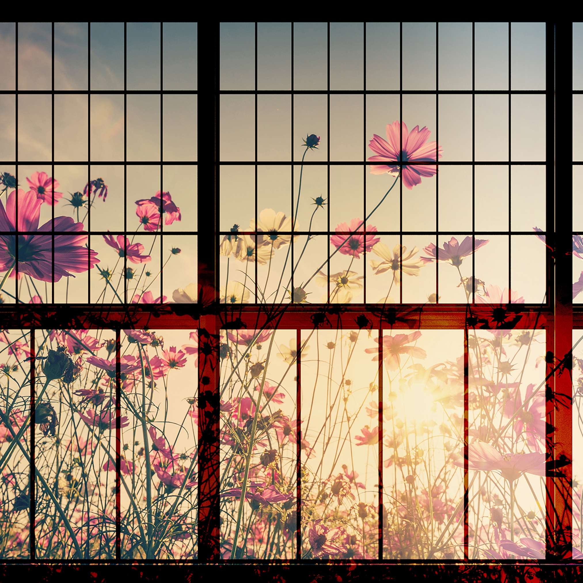 Display product Walls By Patel 2 | Wallpaper DD113747 Meadow 1 from manufacturer Architects Paper