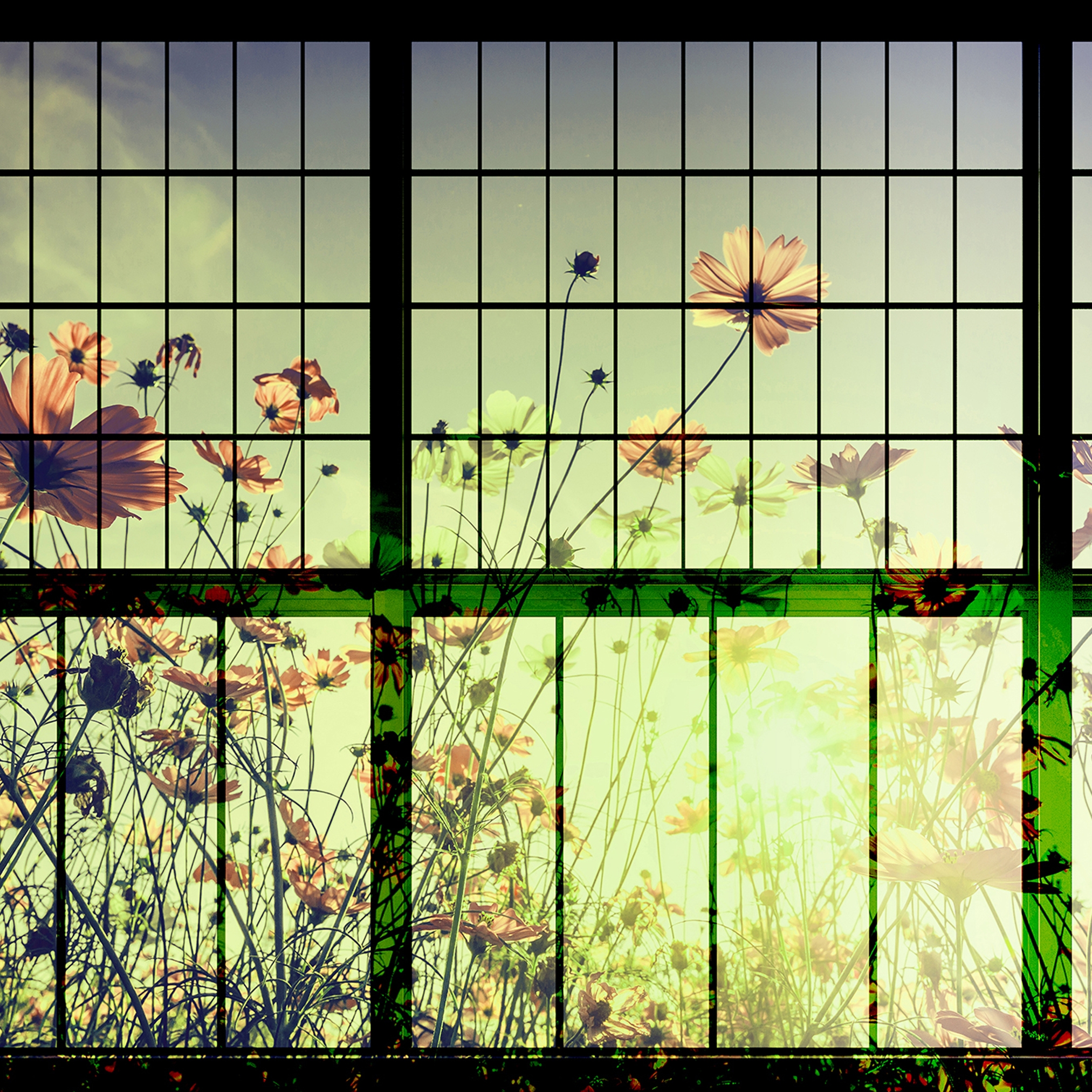 Mostrar el producto Walls By Patel 2 | Wallpaper DD113752 Meadow 2 del fabricante Architects Paper