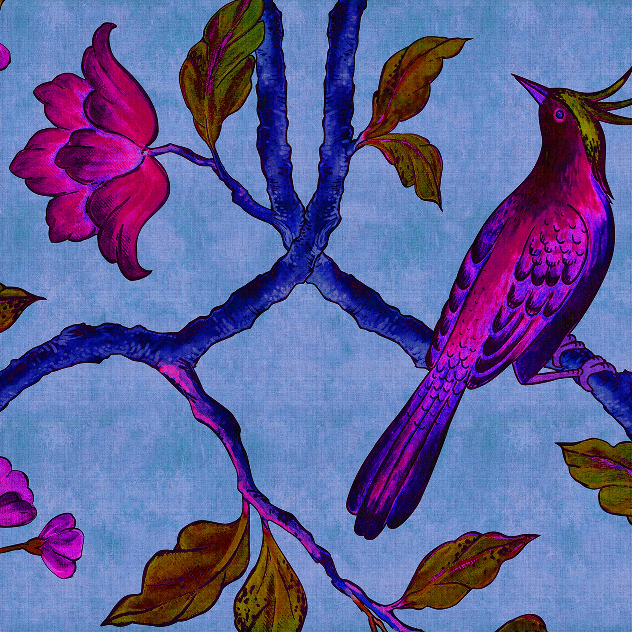 Display product Walls By Patel 2 | Wallpaper DD113837 Birdofparadis1 from manufacturer Architects Paper