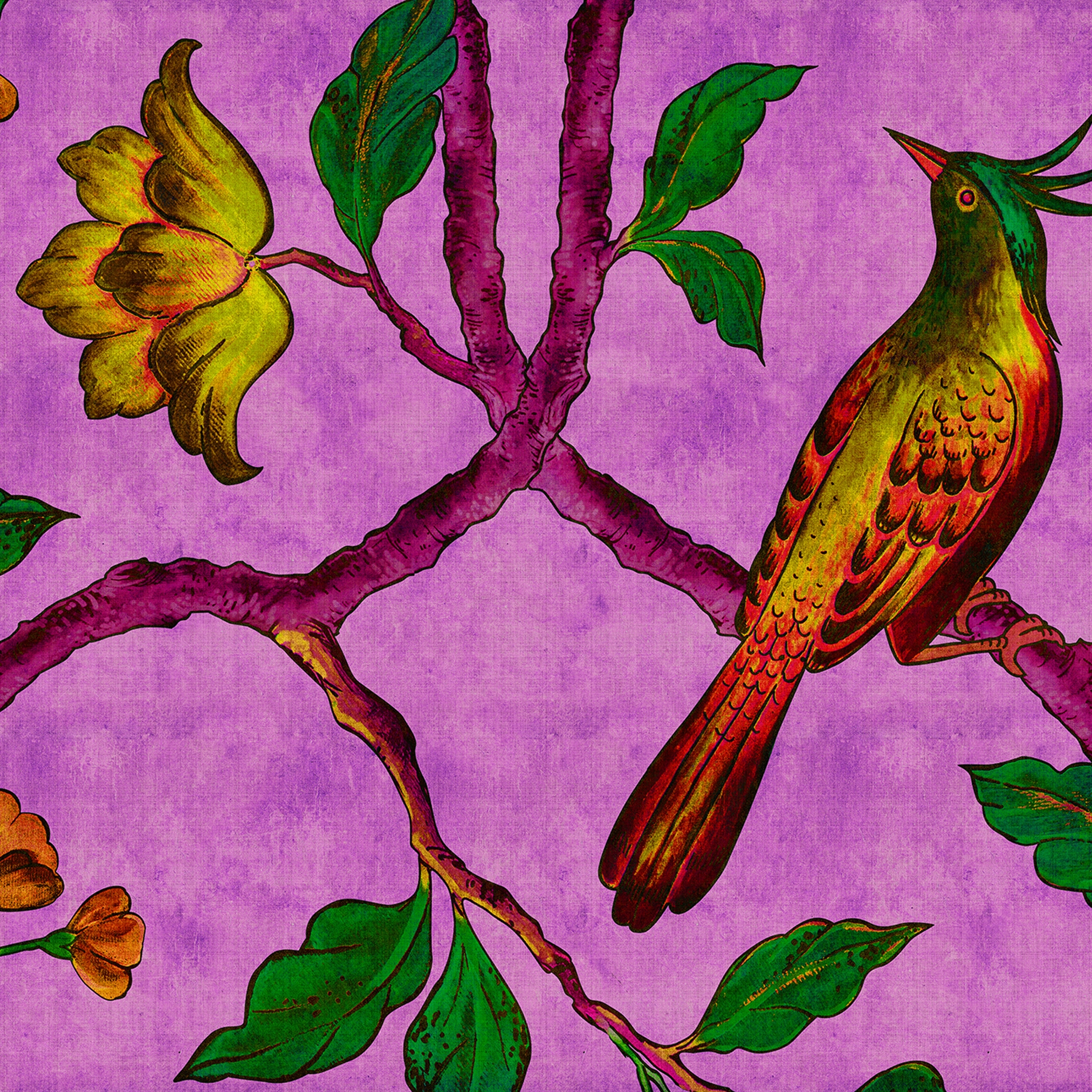 Produkt Walls By Patel 2 | Tapete | Digitaldruck DD113842 Birdofparadis2 des Herstellers Architects Paper anzeigen
