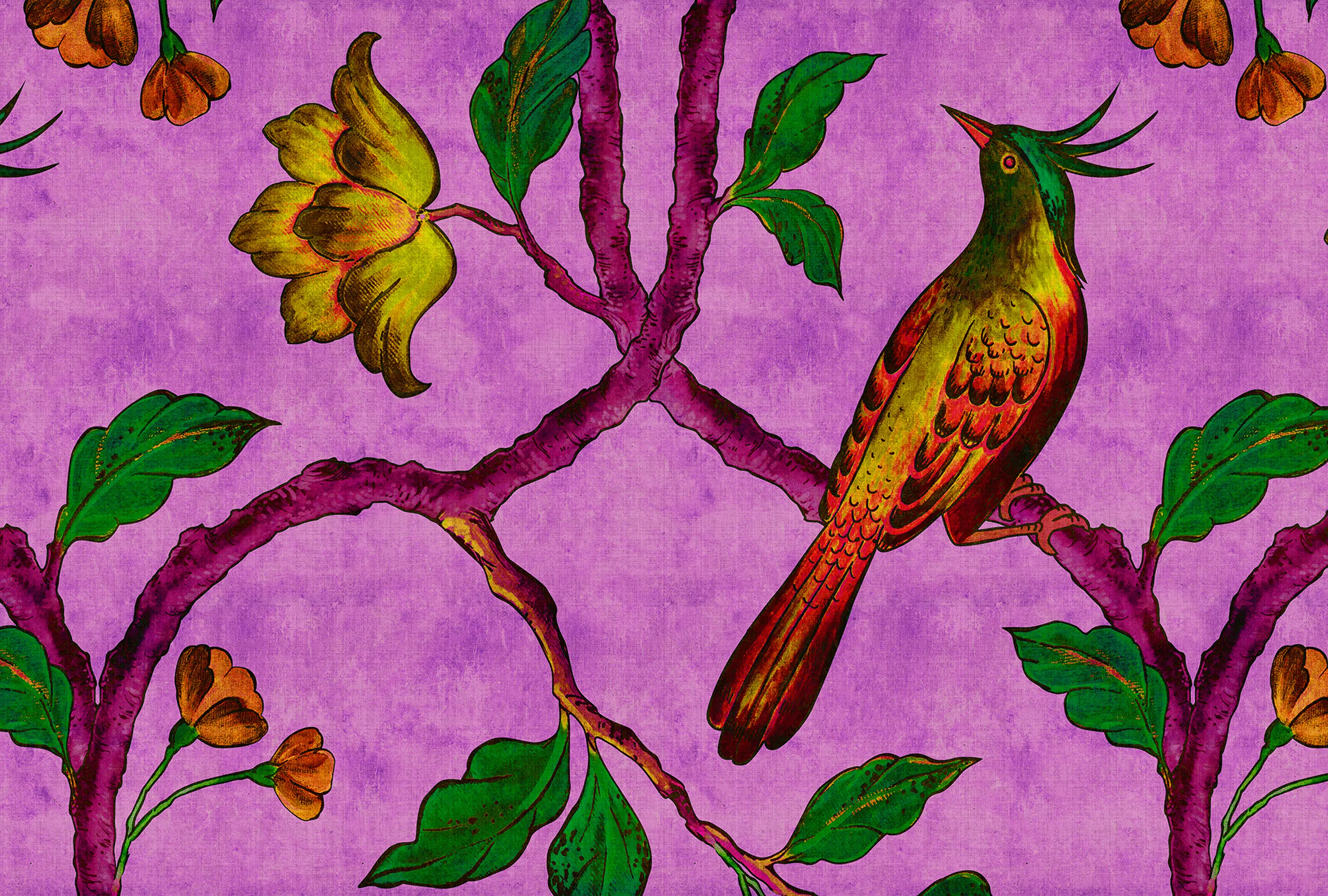 Architects Paper - Walls By Patel 2 | Wallpaper DD113842 Birdofparadis2