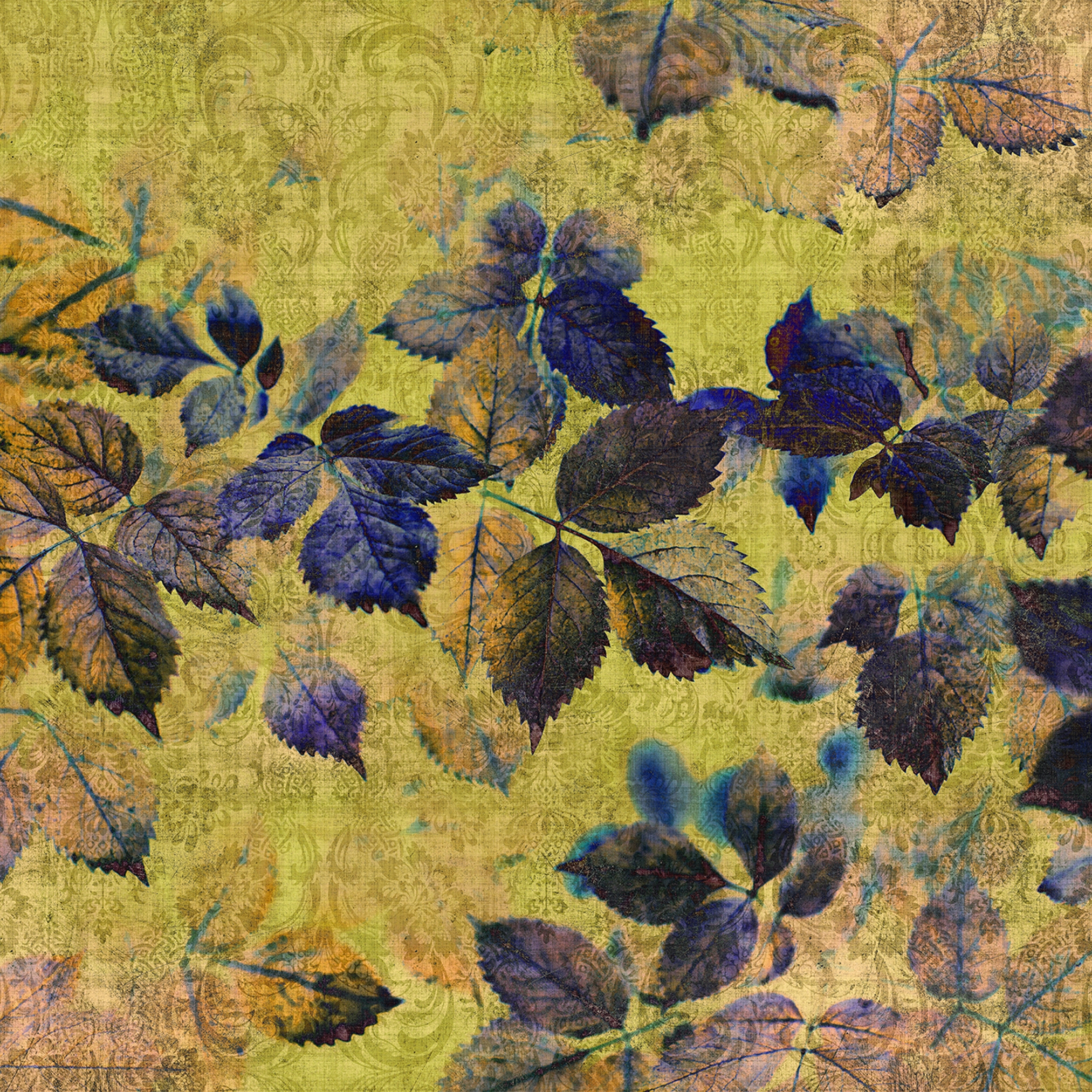 Display product Walls By Patel 2 | Wallpaper DD114092 Indian Summer1 from manufacturer Architects Paper