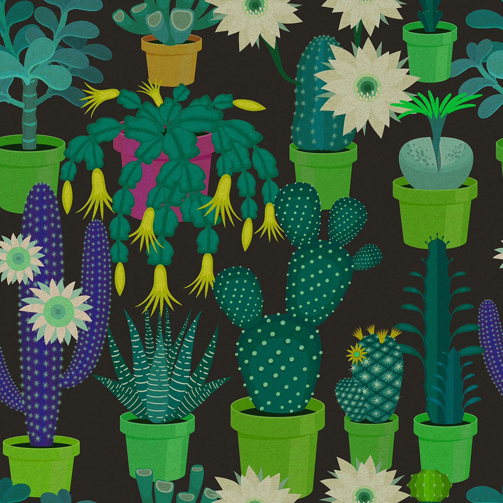 Vertoon produk Walls By Patel 2 | Wallpaper DD114147 Cactus Garden2 van vervaardiger Architects Paper