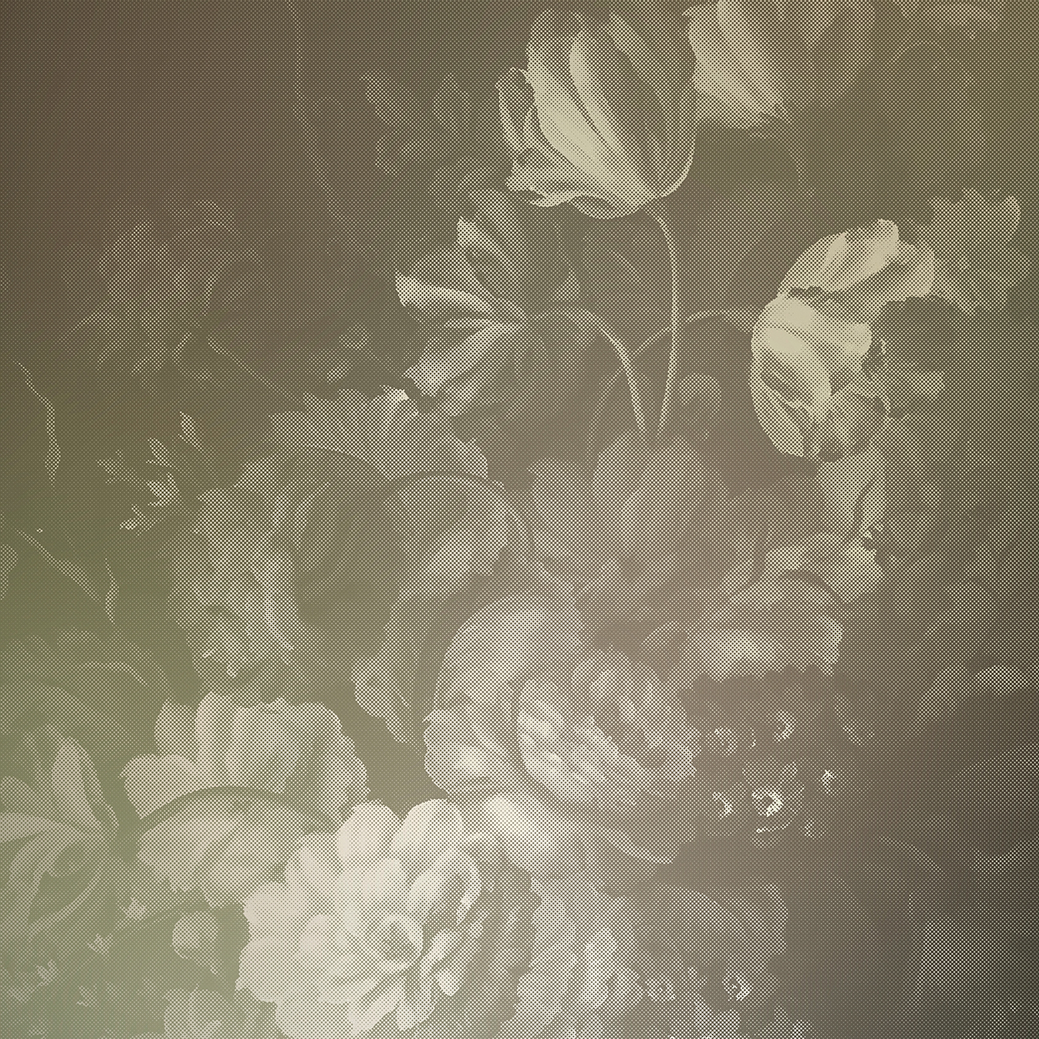 Mostra il prodotto Walls By Patel 2 | Carta da Parati DD114192 Dutch Pastel 4 del produttore Architects Paper