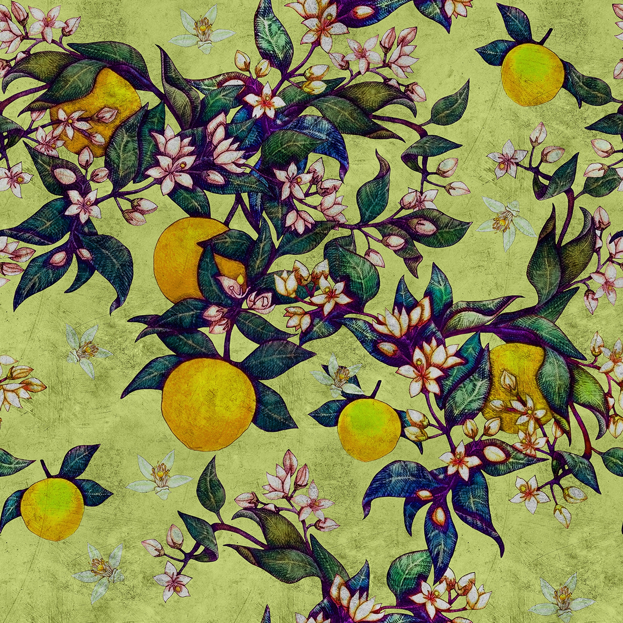 Mostra il prodotto Walls By Patel 2 | Wallpaper DD114257 Grapefruittre1 del produttore Architects Paper