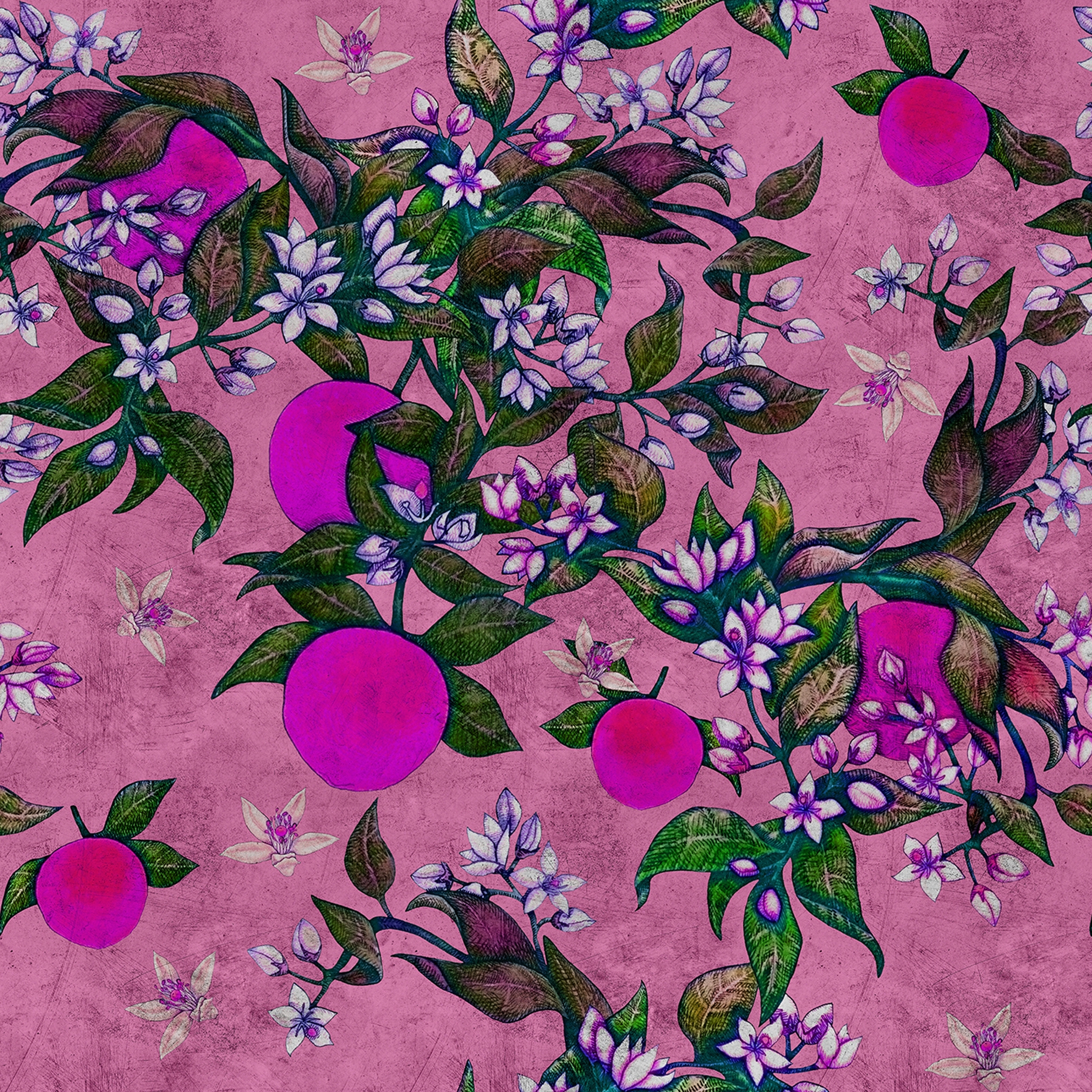 Afficher le produit Walls By Patel 2 | Wallpaper DD114262 Grapefruittre2 du fabricant Architects Paper