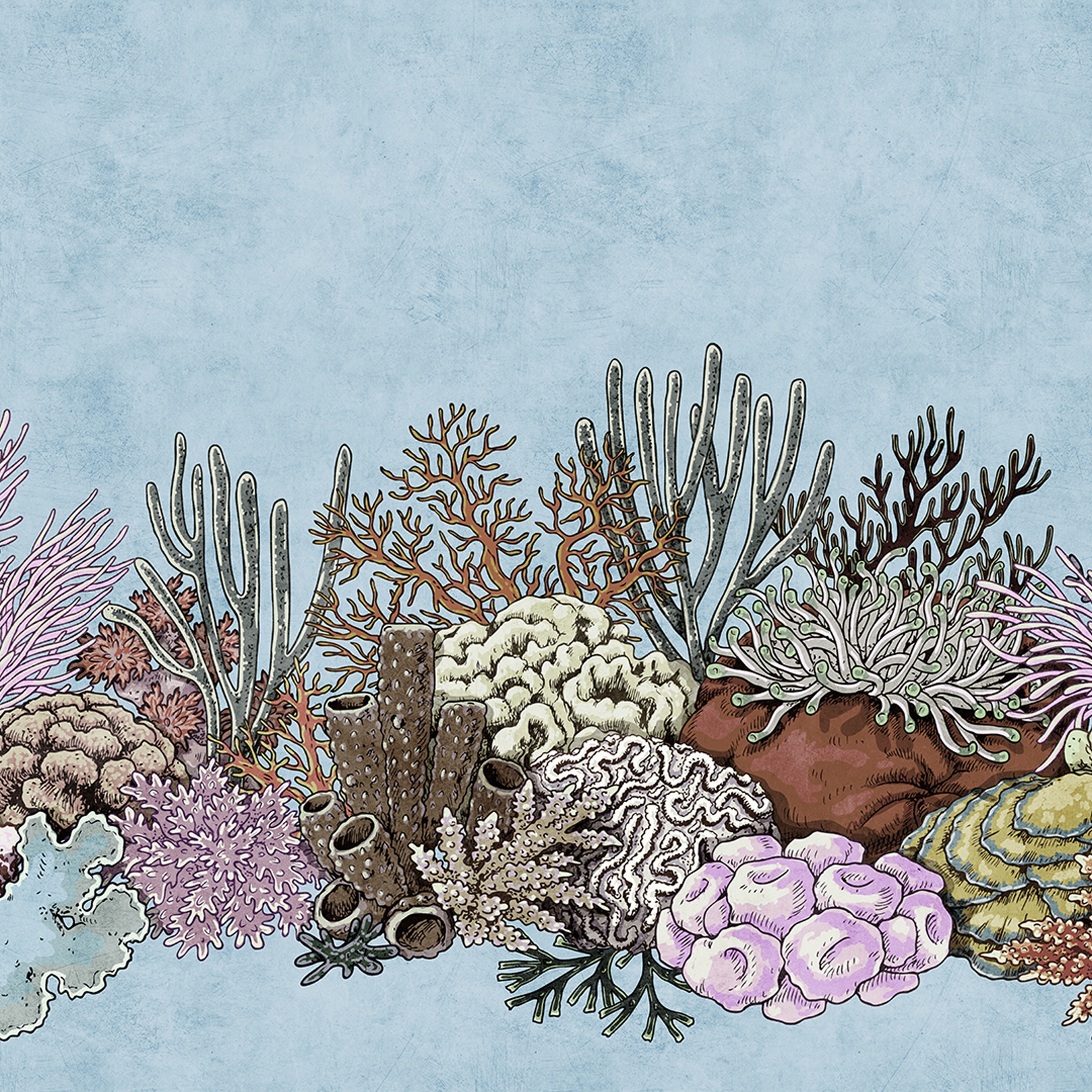 Display product Walls By Patel 2 | Wallpaper DD114267 Octopus´Sgard1 from manufacturer Architects Paper