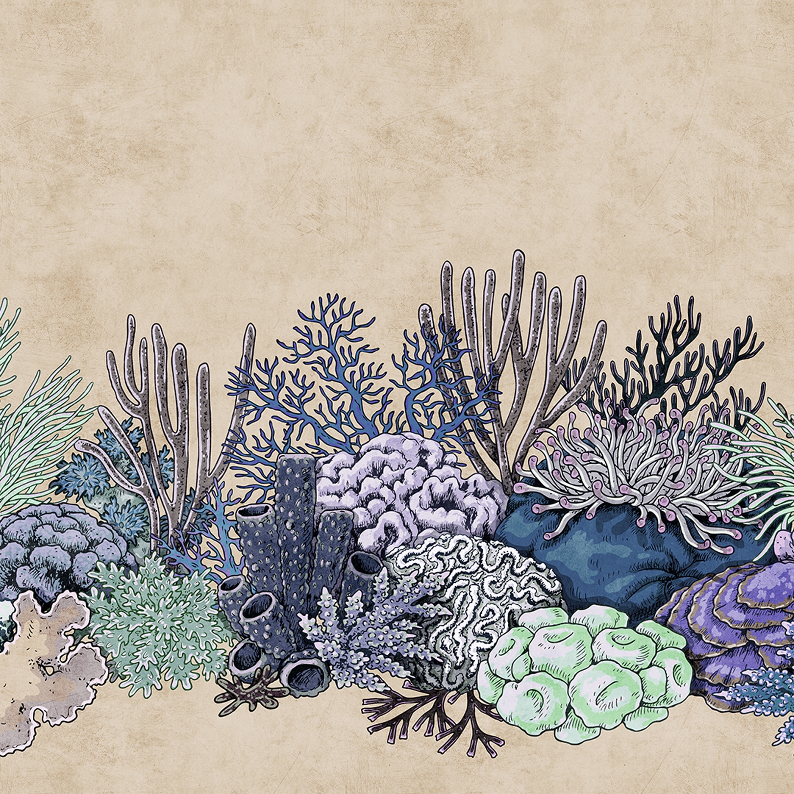 Display product Walls By Patel 2 | Wallpaper DD114277 Octopus´Sgard3 from manufacturer Architects Paper