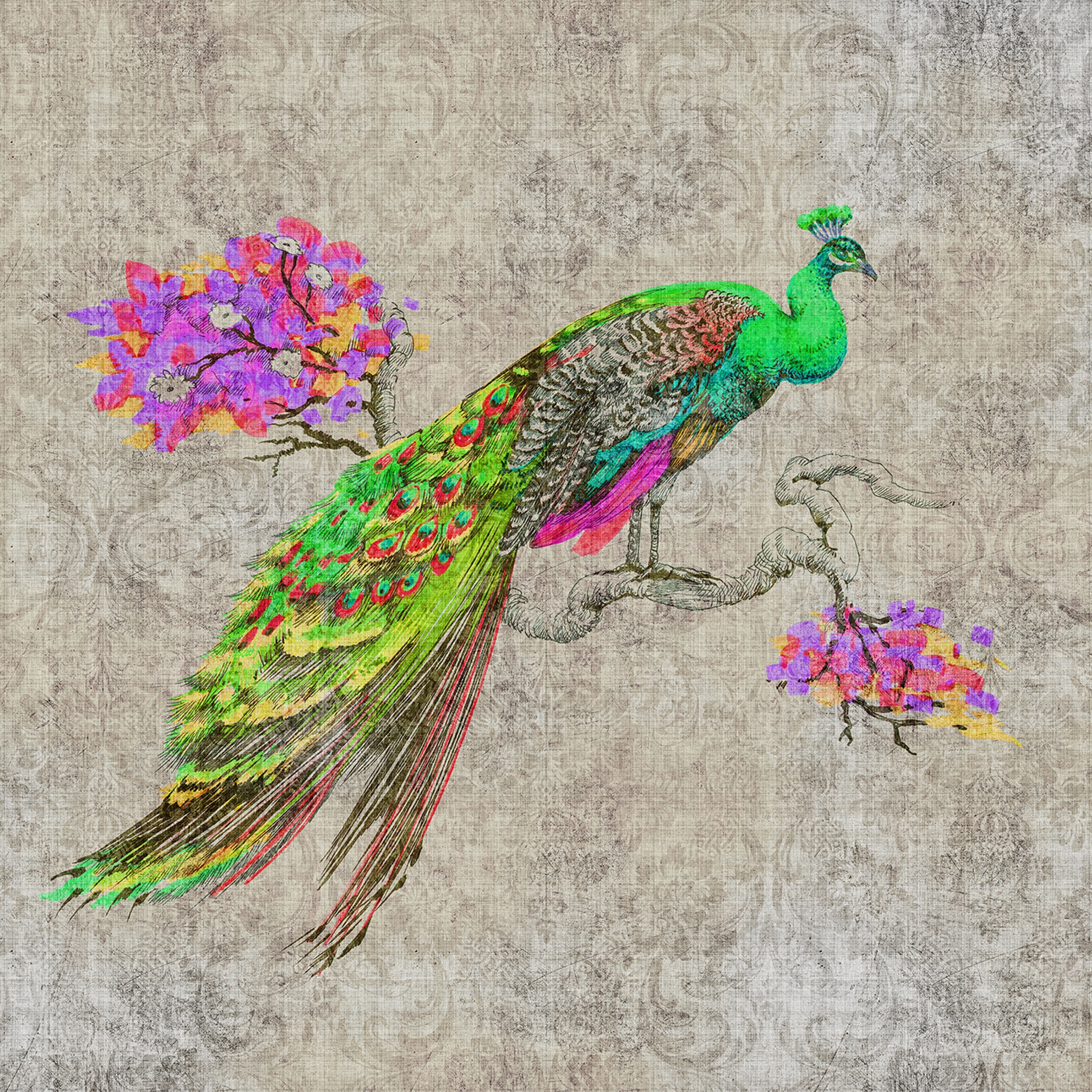Mostra il prodotto Walls By Patel 2 | Wallpaper DD114307 Peacock 1 del produttore Architects Paper