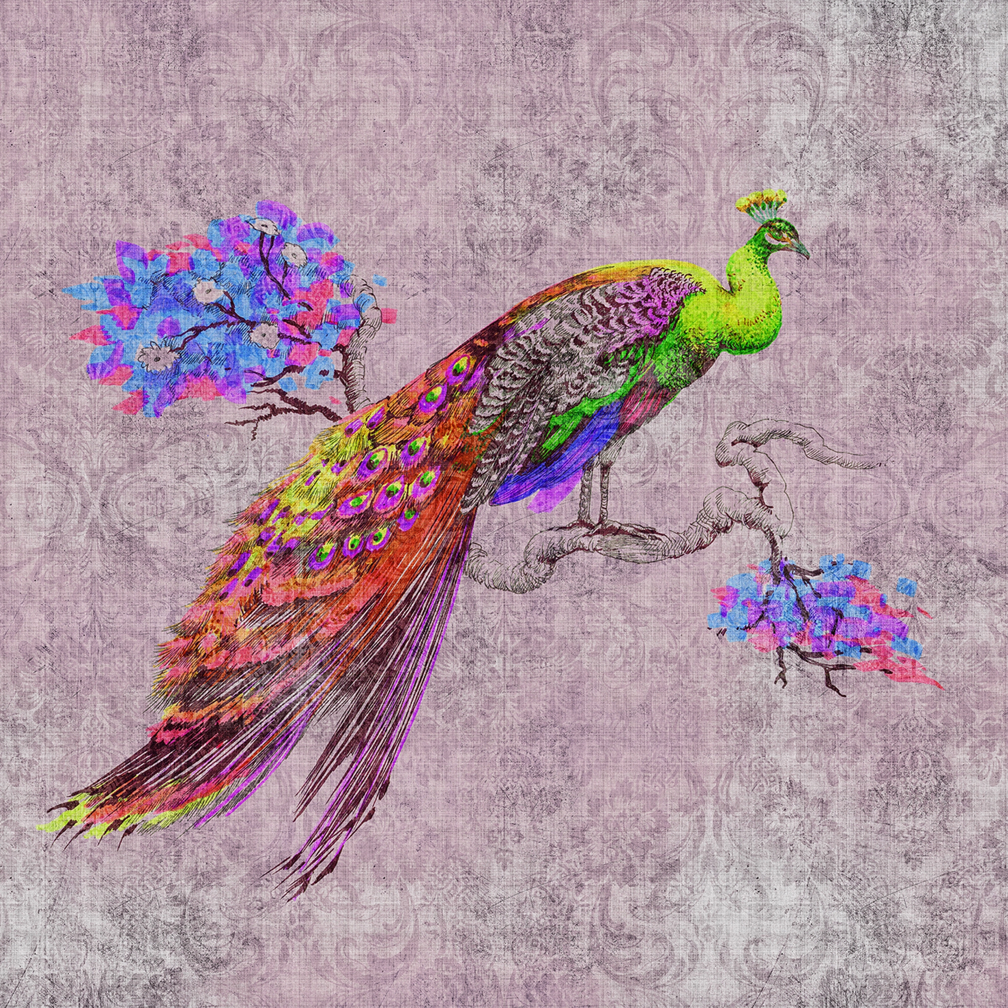 Mostra il prodotto Walls By Patel 2 | Wallpaper DD114312 Peacock 2 del produttore Architects Paper