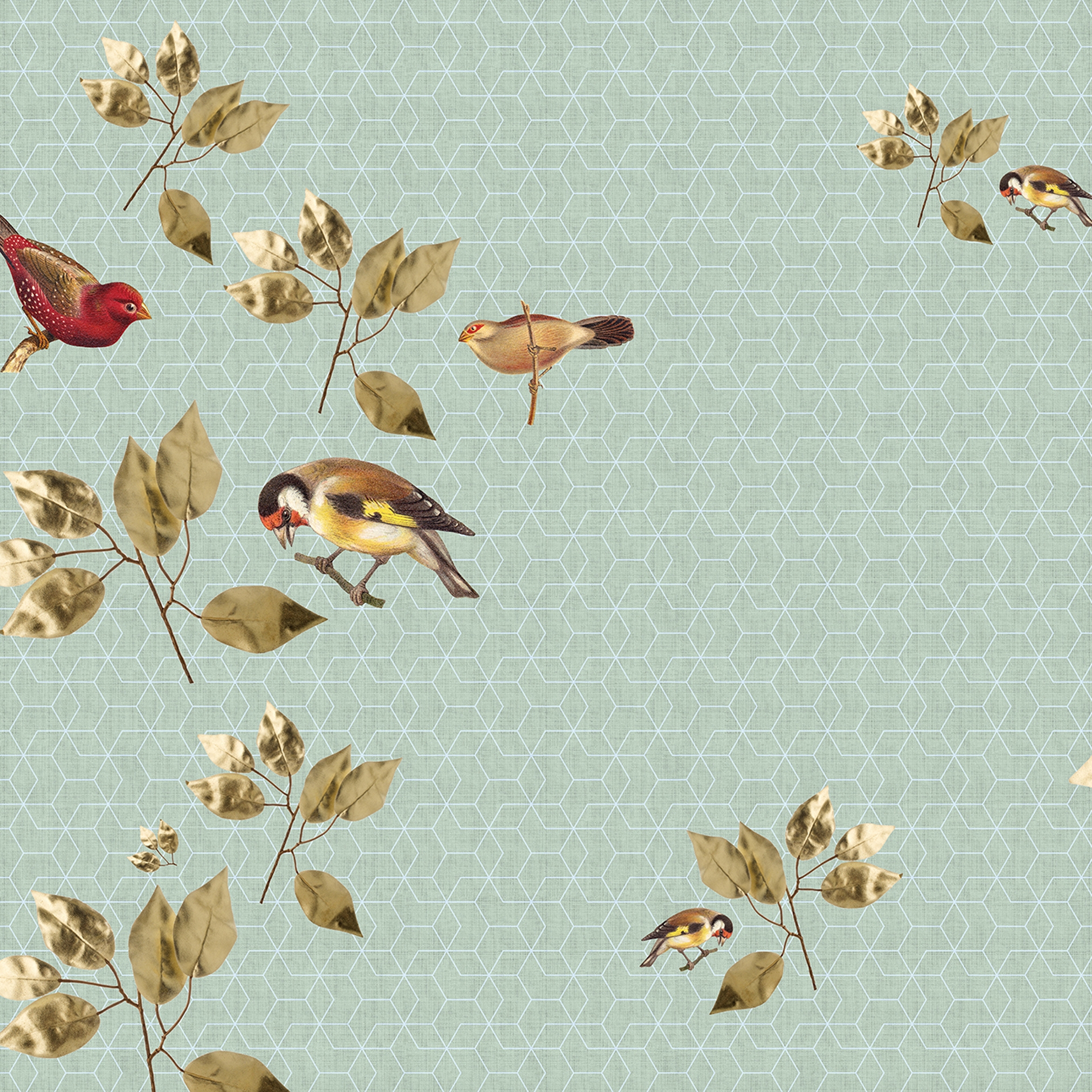 Display product Walls By Patel 2 | Wallpaper DD114327 Brillantbirds2 from manufacturer Architects Paper