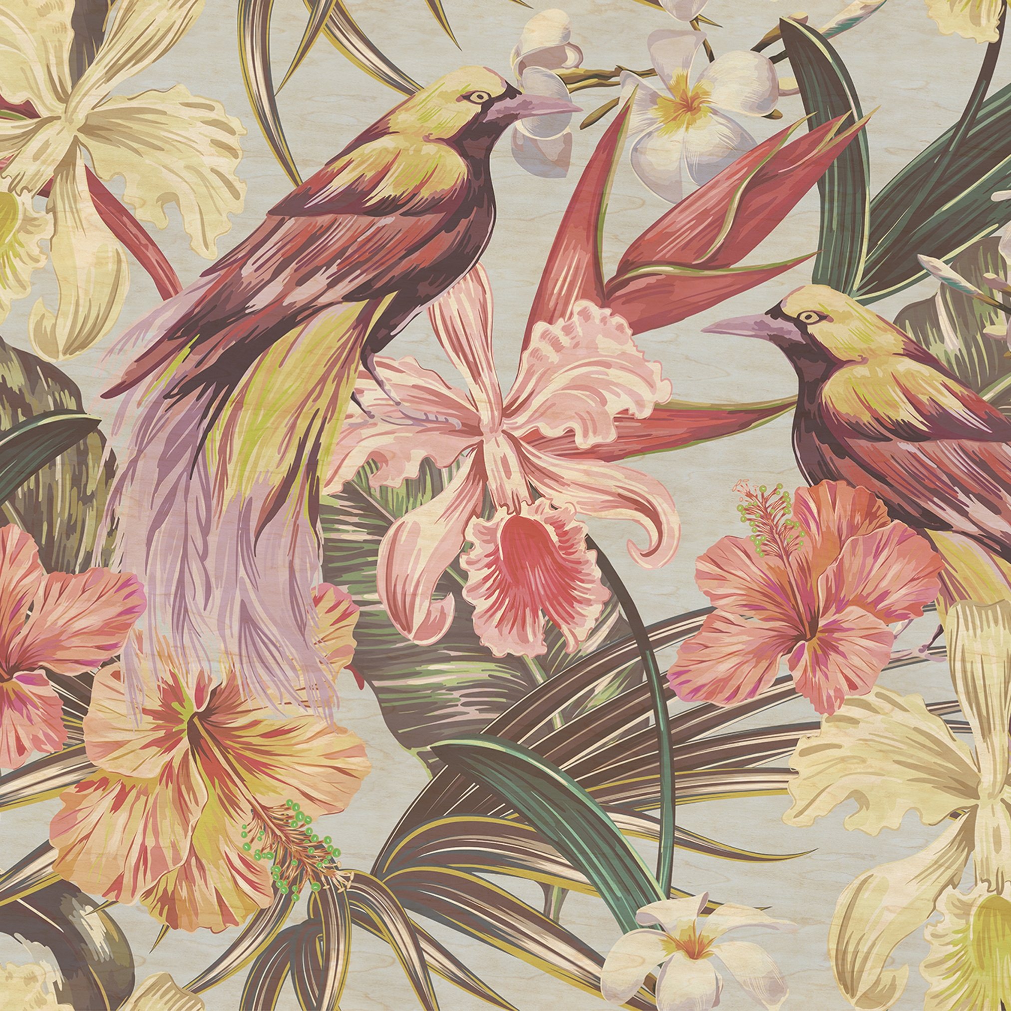 Mostra il prodotto Walls By Patel 2 | Wallpaper DD114412 Exotic Birds 1 del produttore Architects Paper