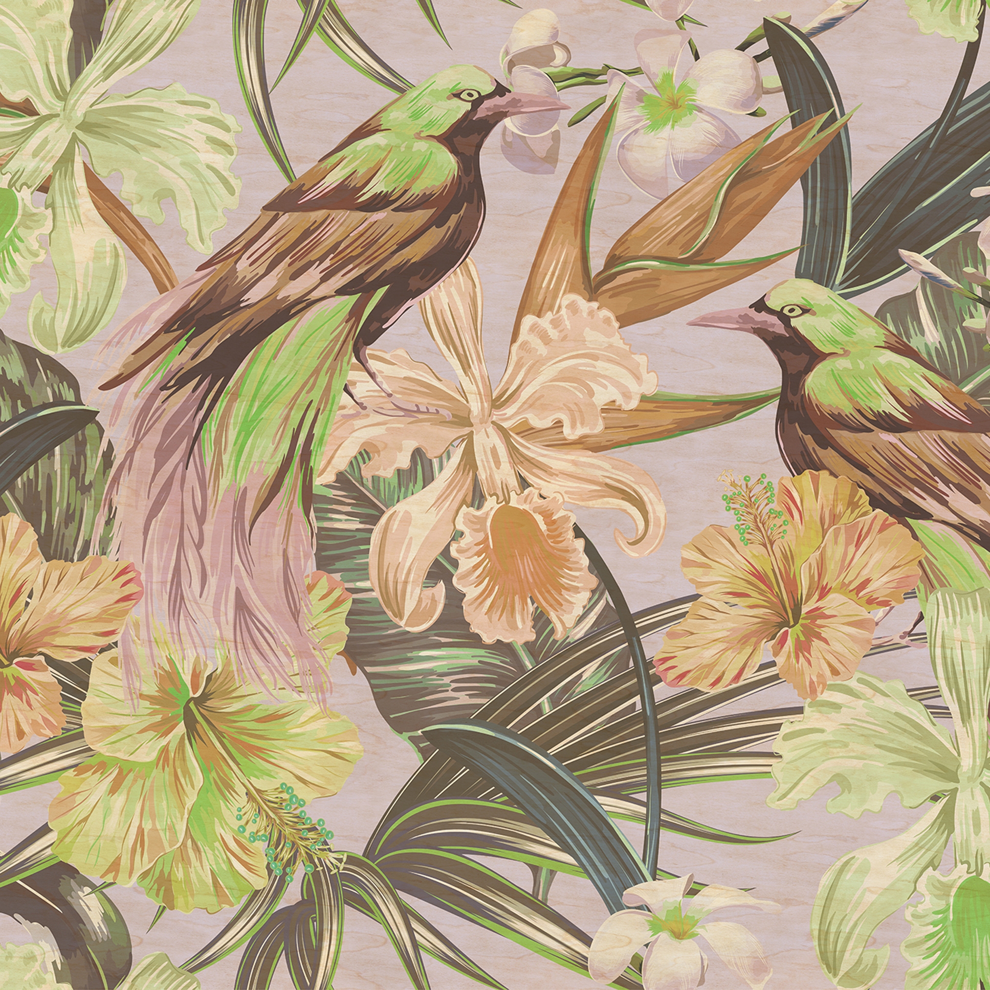 Vertoon produk Walls By Patel 2 | Wallpaper DD114417 Exotic Birds 2 van vervaardiger Architects Paper