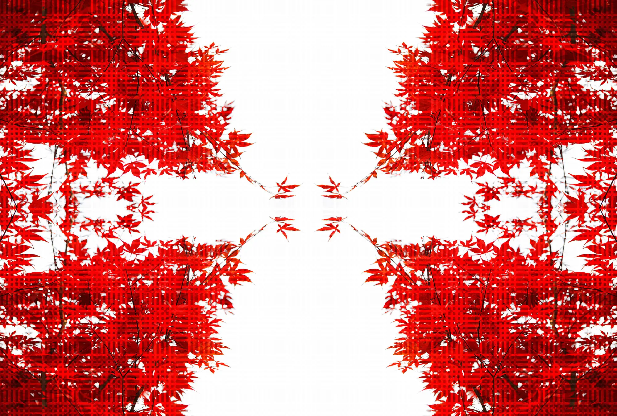 Architects Paper - Ap Digital 4 | Carta da Parati DD109035 Artwork Trees
