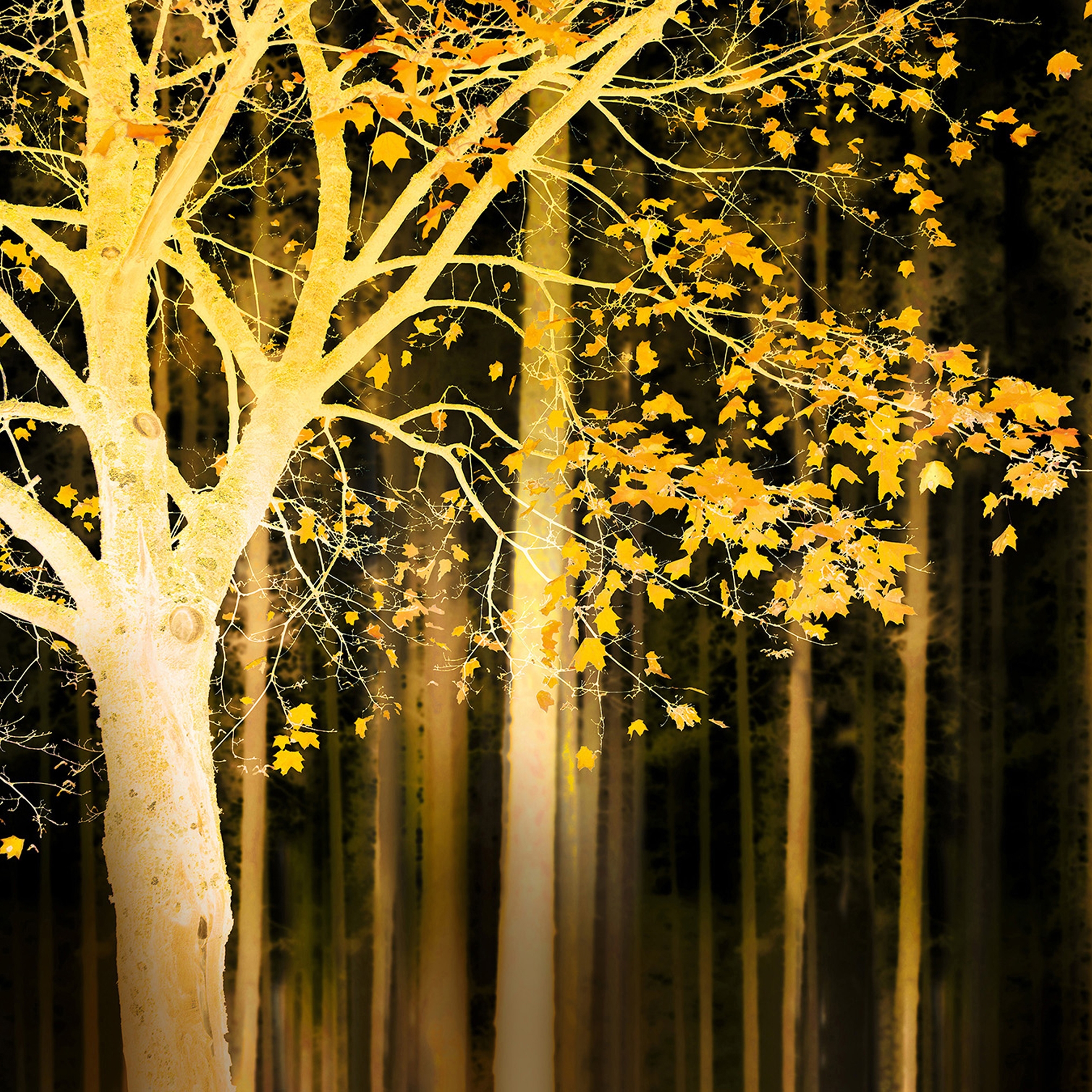 Vertoon produk Ap Digital 4 | Wallpaper DD109055 Artwork Tree van vervaardiger Architects Paper
