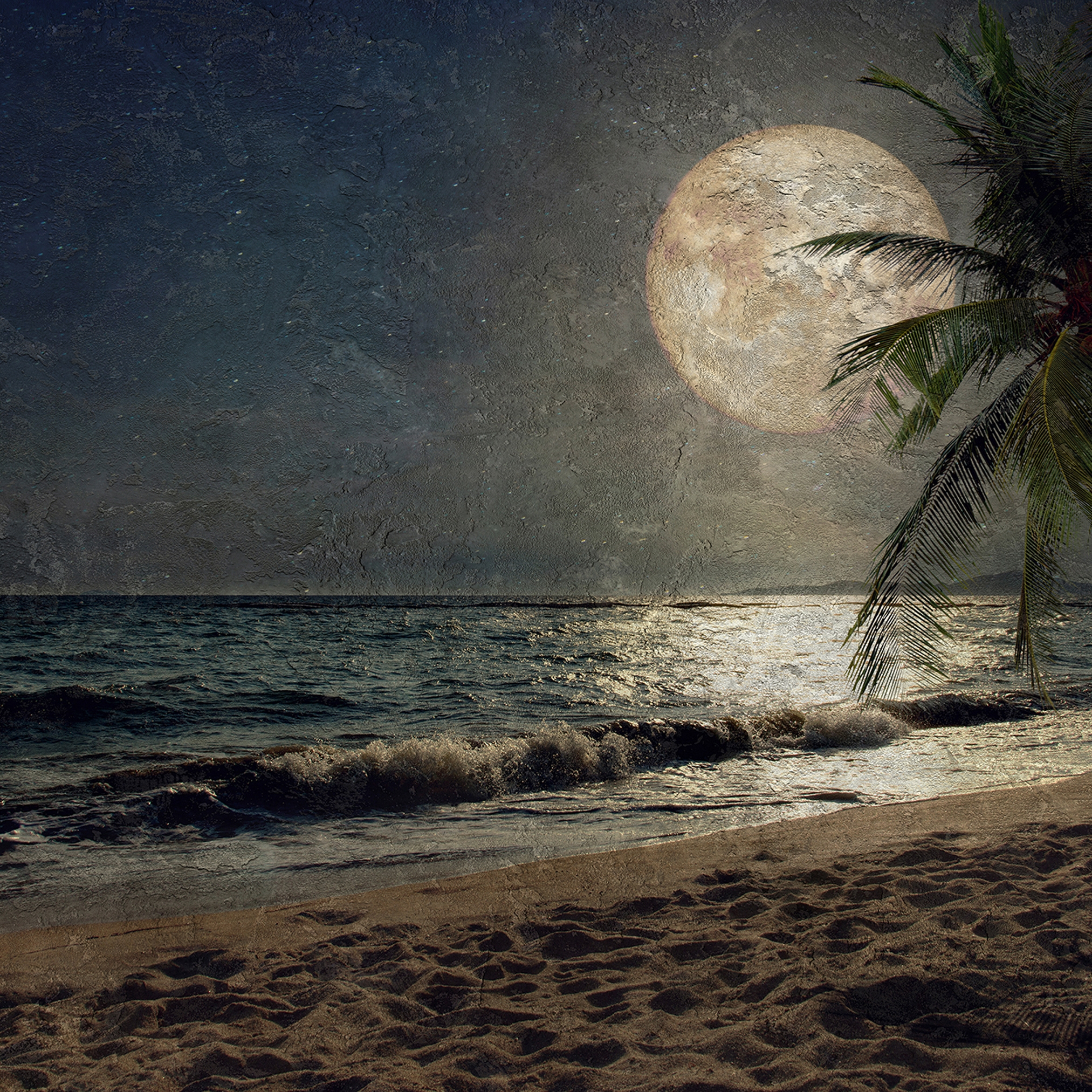 Display product Atelier 47 | Wallpaper DD117605 Beachatnight1 from manufacturer Architects Paper