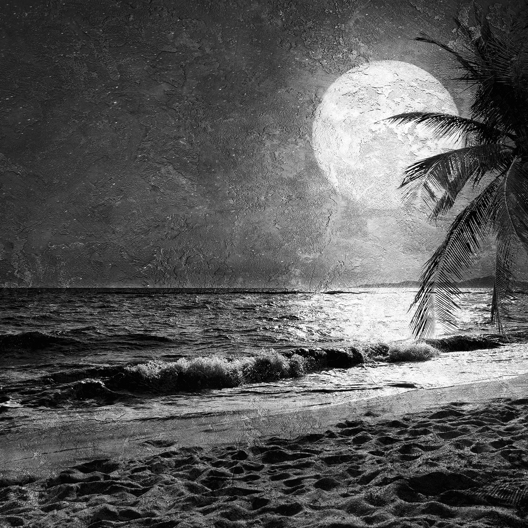 Display product Atelier 47 | Wallpaper DD117610 Beachatnight2 from manufacturer Architects Paper