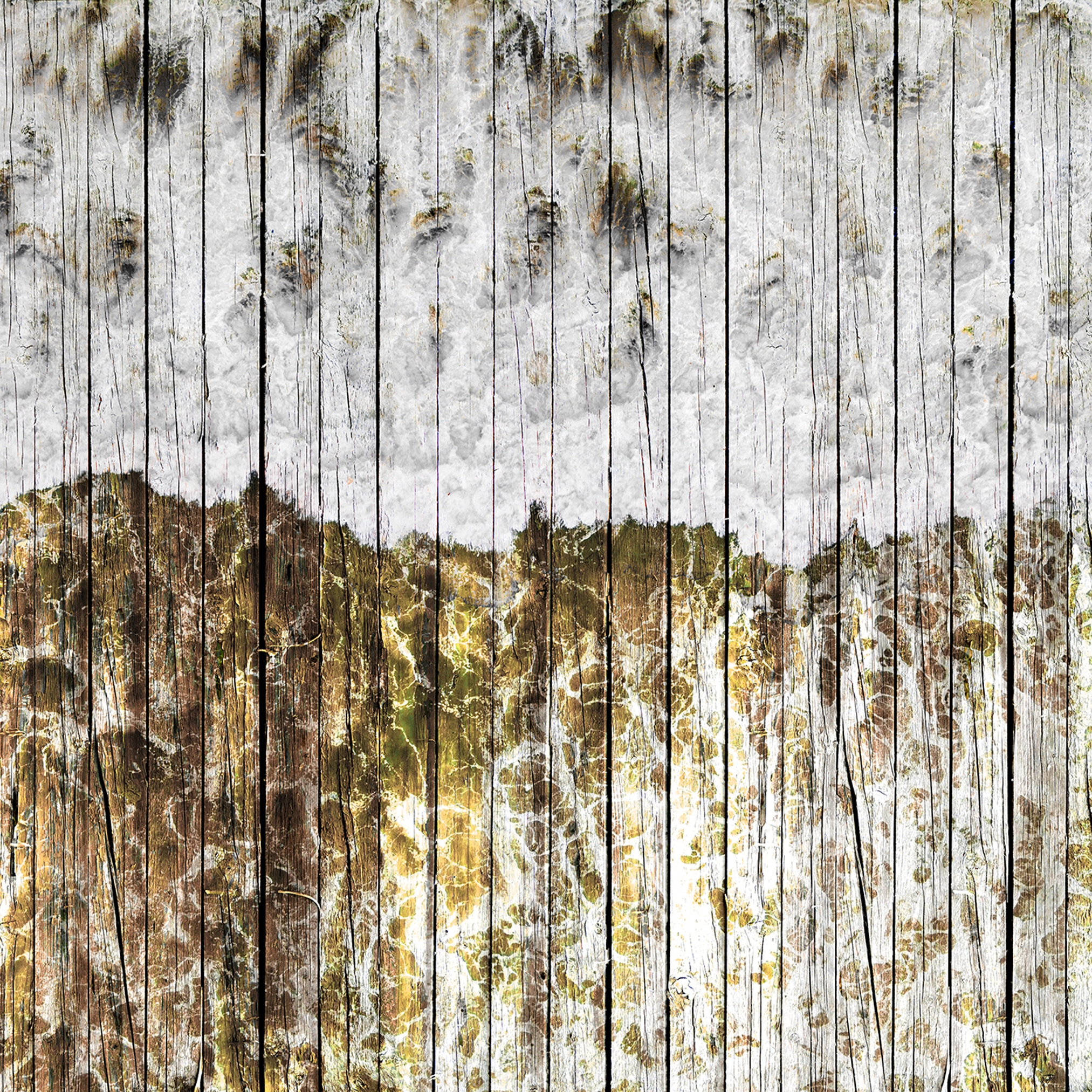 Afficher le produit Atelier 47| Papier Peint DD117340 Beachboard2 du fabricant Architects Paper
