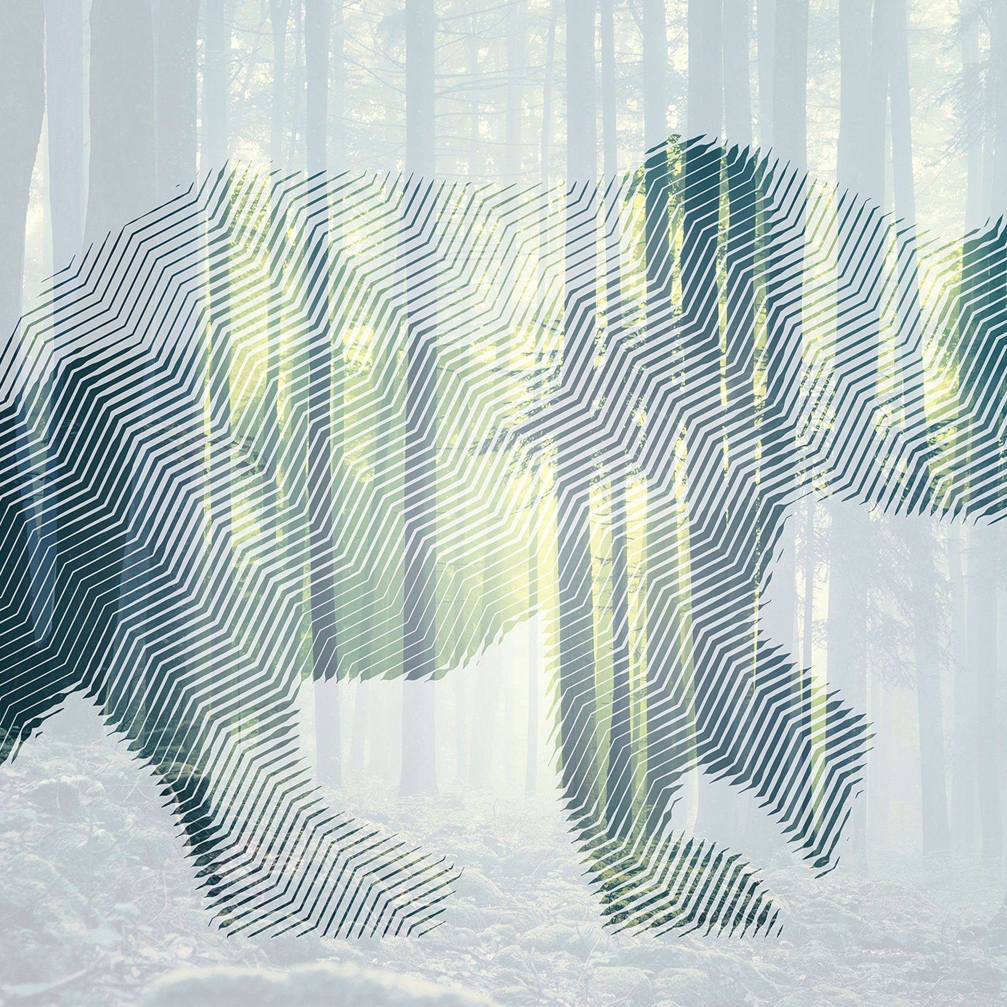 Display product Atelier 47 | Wallpaper DD118110 Bearforest1 from manufacturer Architects Paper