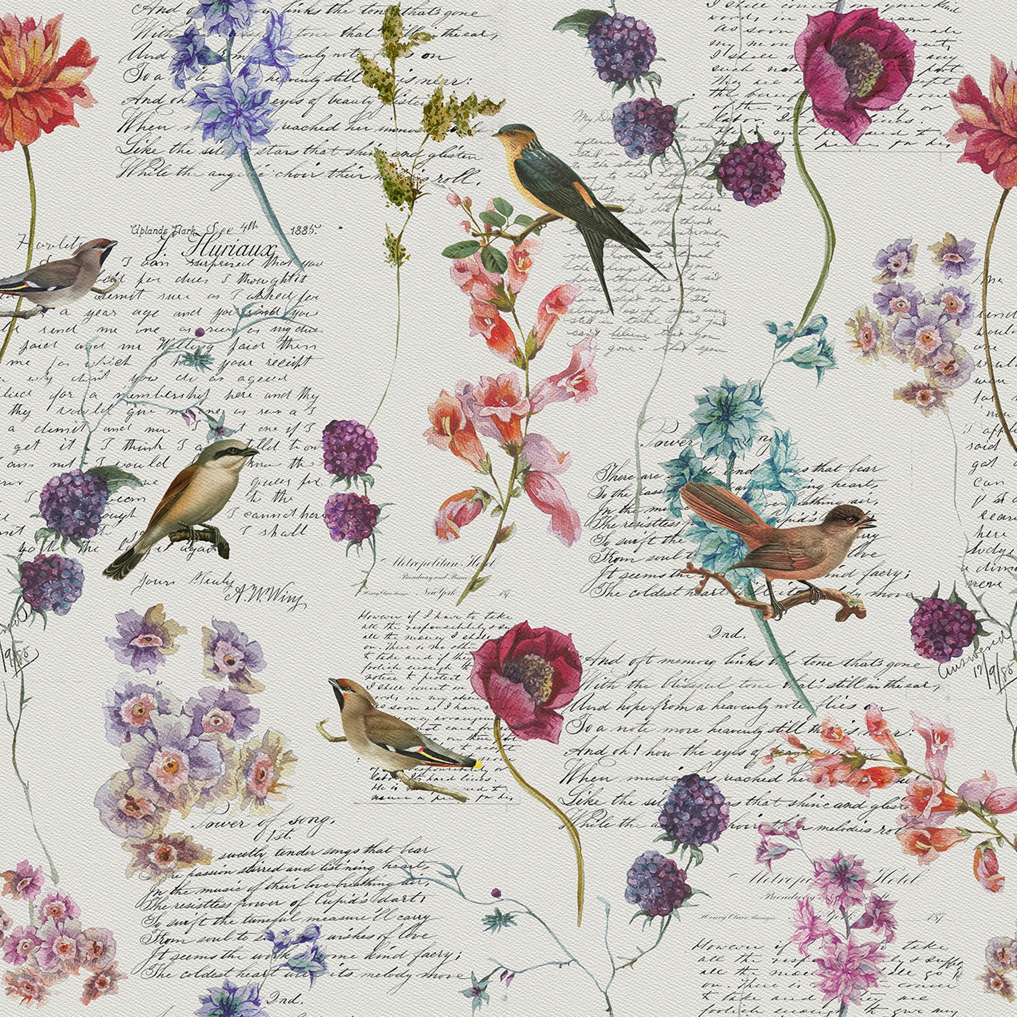 Mostra il prodotto Atelier 47| Carta da Parati DD118220 Birdpoesie1 del produttore Architects Paper