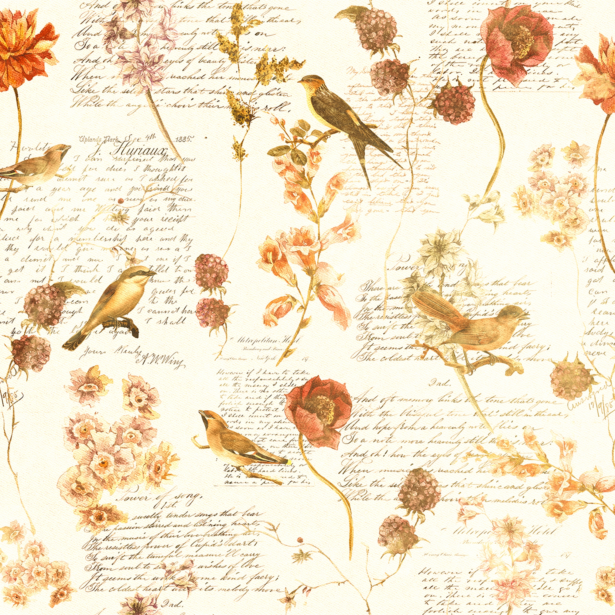Produkt Atelier 47| Tapete | Digitaldruck DD118225 Birdpoesie2 des Herstellers Architects Paper anzeigen