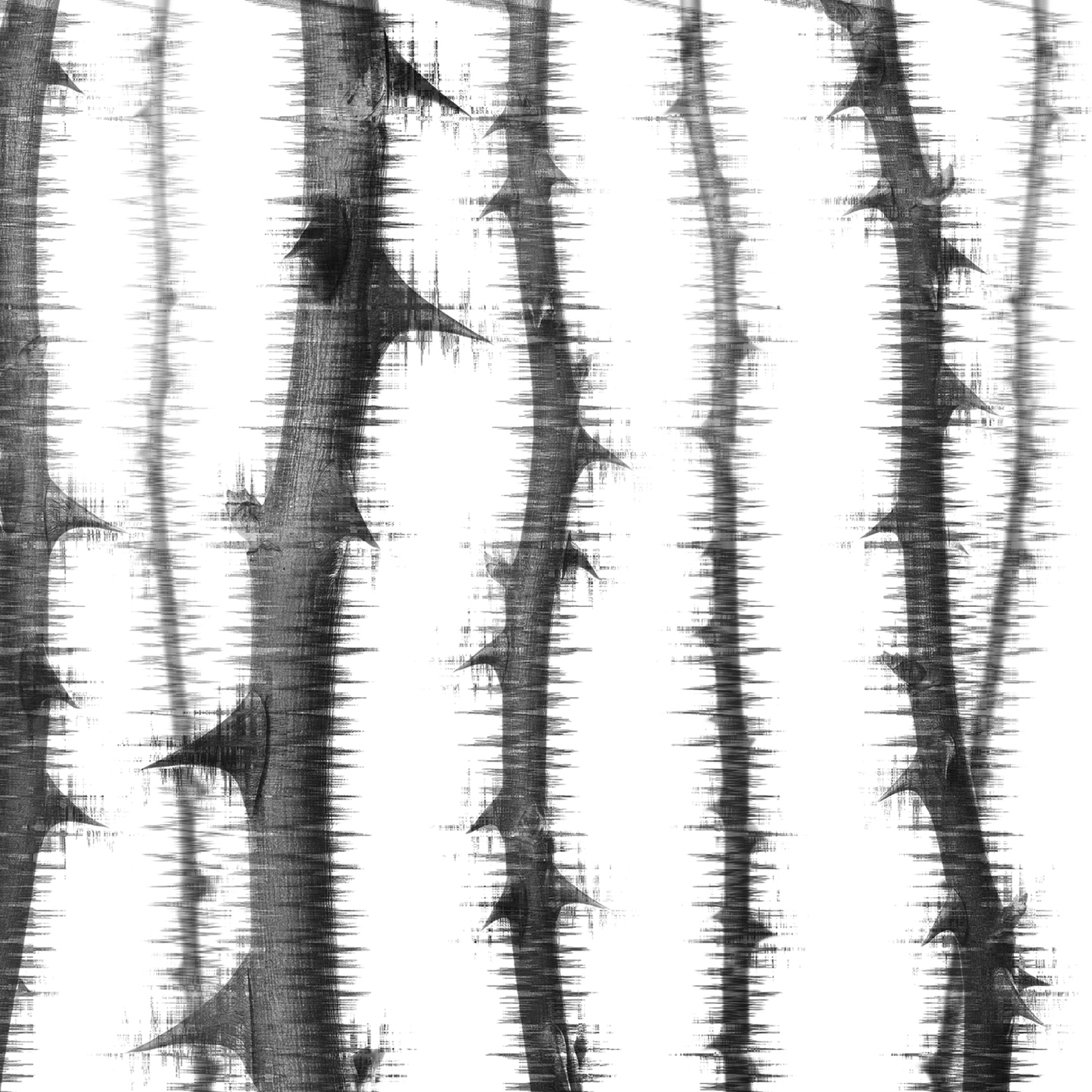 Display product Atelier 47 | Wallpaper DD117870 Blurredthornes2 from manufacturer Architects Paper