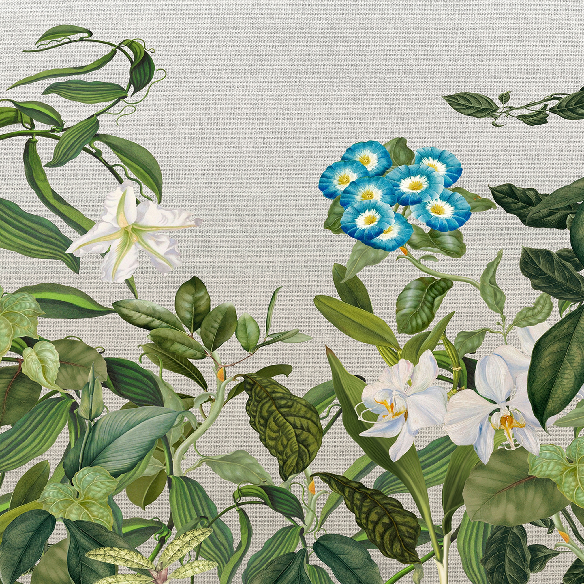 Afficher le produit Atelier 47| Papier Peint DD118075 Botanicsketch2 du fabricant Architects Paper