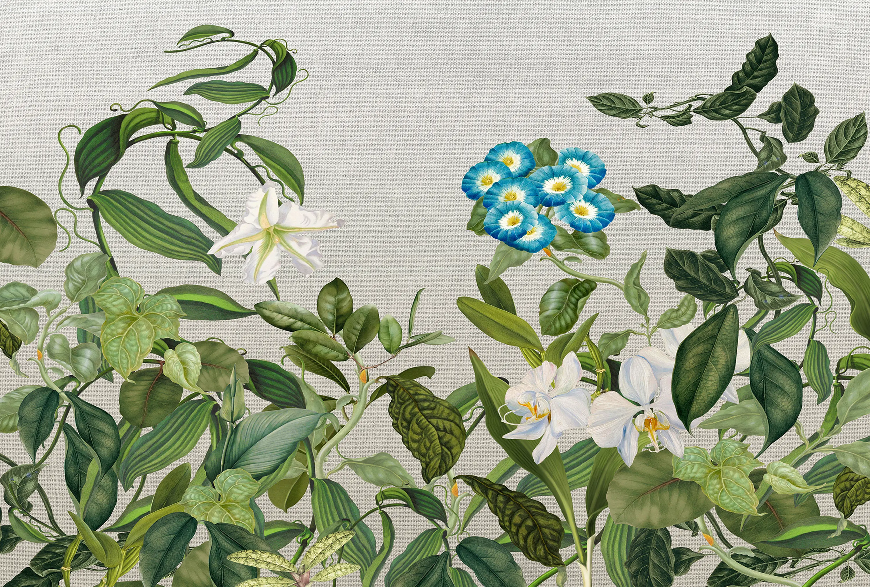 Architects Paper - Atelier 47 | Wallpaper DD118075 Botanicsketch2