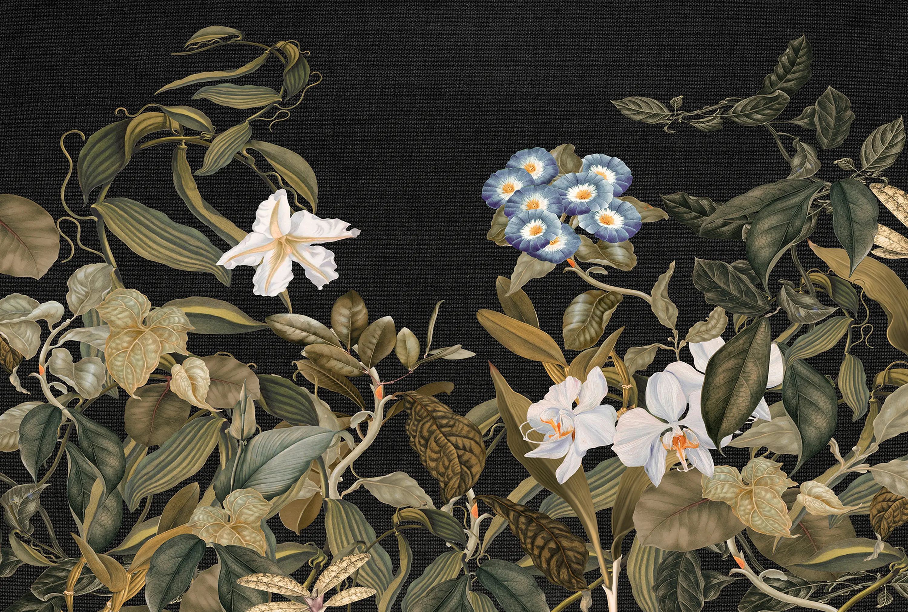 Architects Paper - Atelier 47| Papier Peint DD118080 Botanicsketch3