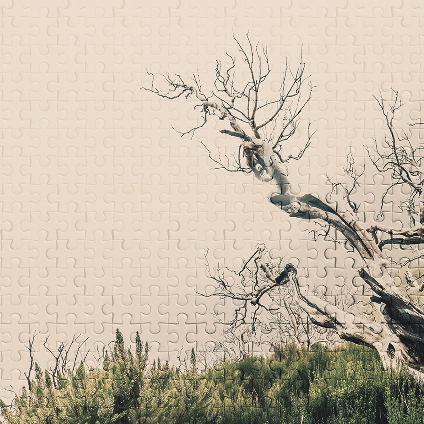 Display product Atelier 47 | Wallpaper DD116895 Deathtree2 from manufacturer Architects Paper