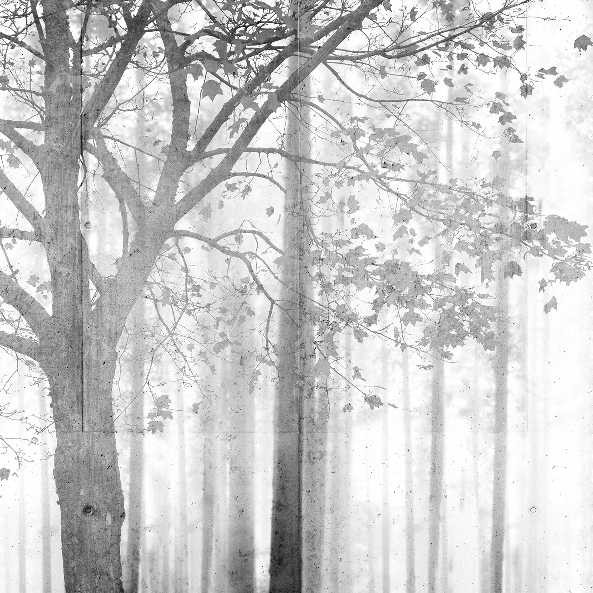 Display product Atelier 47 | Wallpaper DD117945 Edge1 from manufacturer Architects Paper