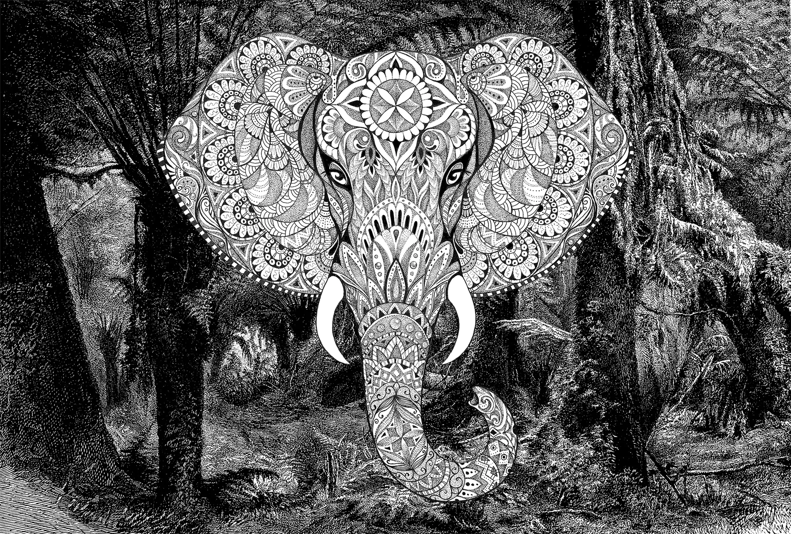 Architects Paper - Atelier 47| Tapete | Digitaldruck DD118120 Elephanthead1