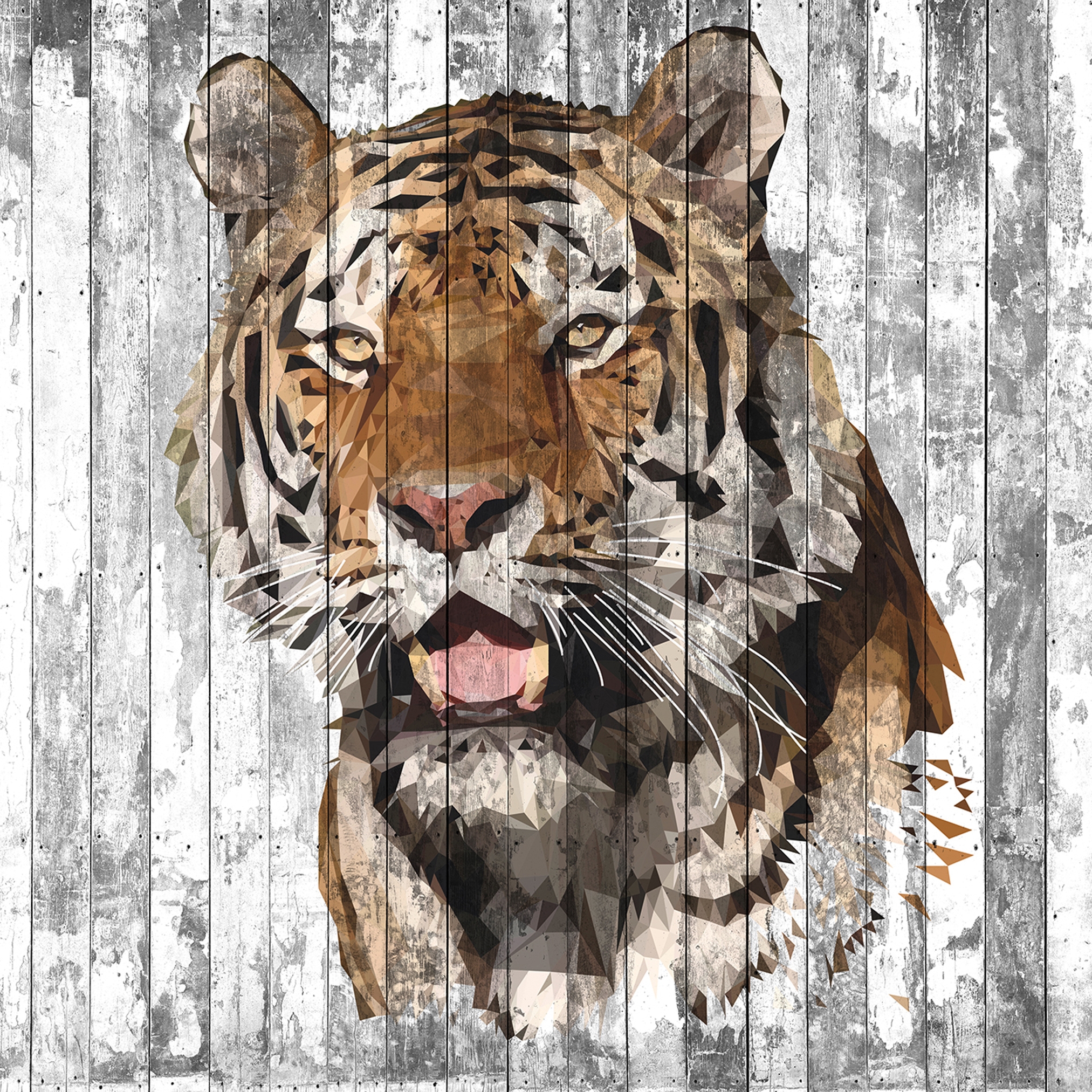 Display product Atelier 47 | Wallpaper DD118155 Polygontiger2 from manufacturer Architects Paper