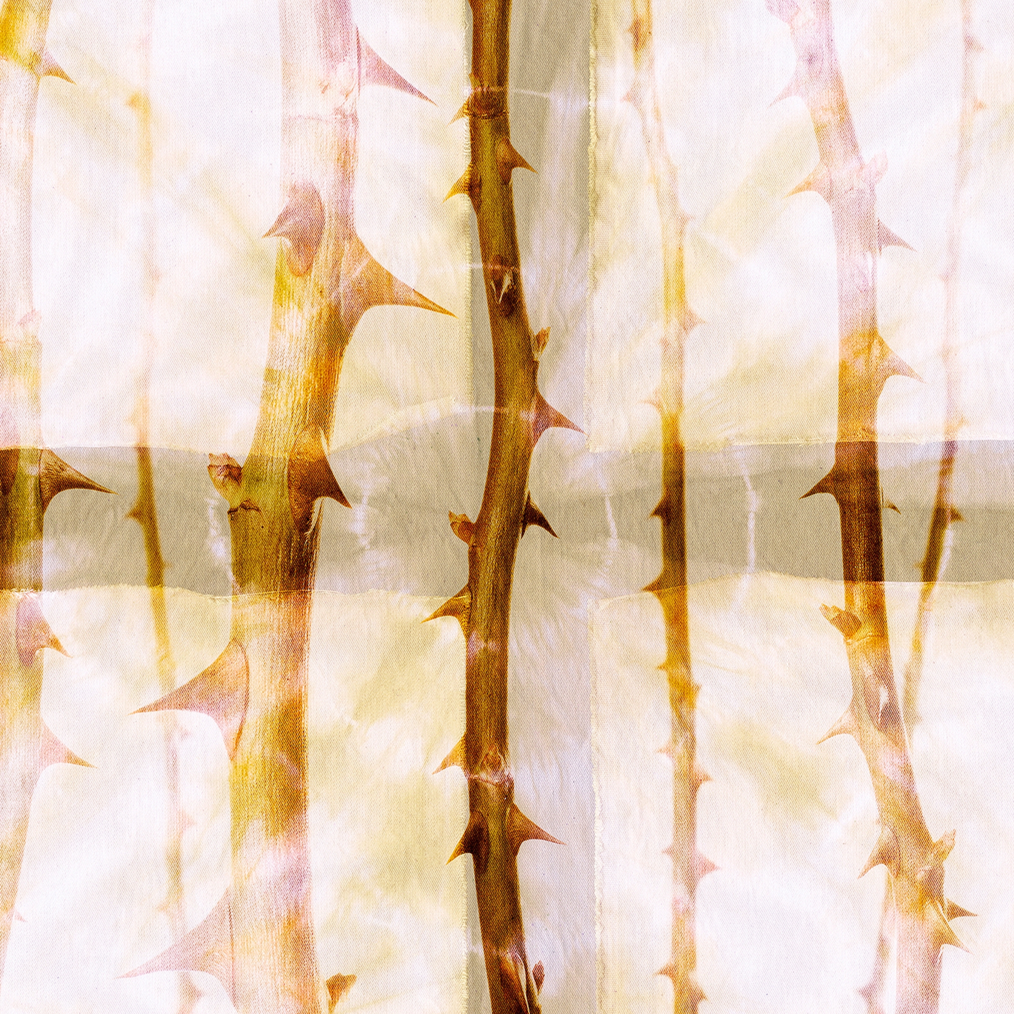 Afficher le produit Atelier 47 | Papier Peint DD117850 Thornart1 du fabricant Architects Paper