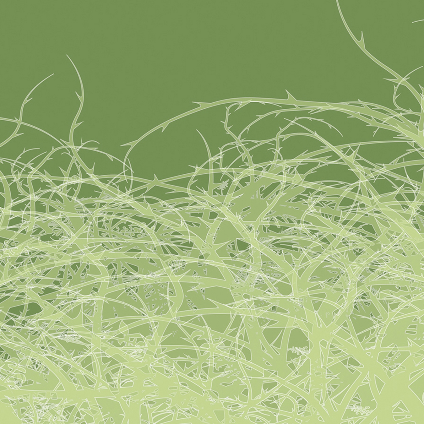 Display product Atelier 47 | Wallpaper DD116780 Thornstyle2 from manufacturer Architects Paper