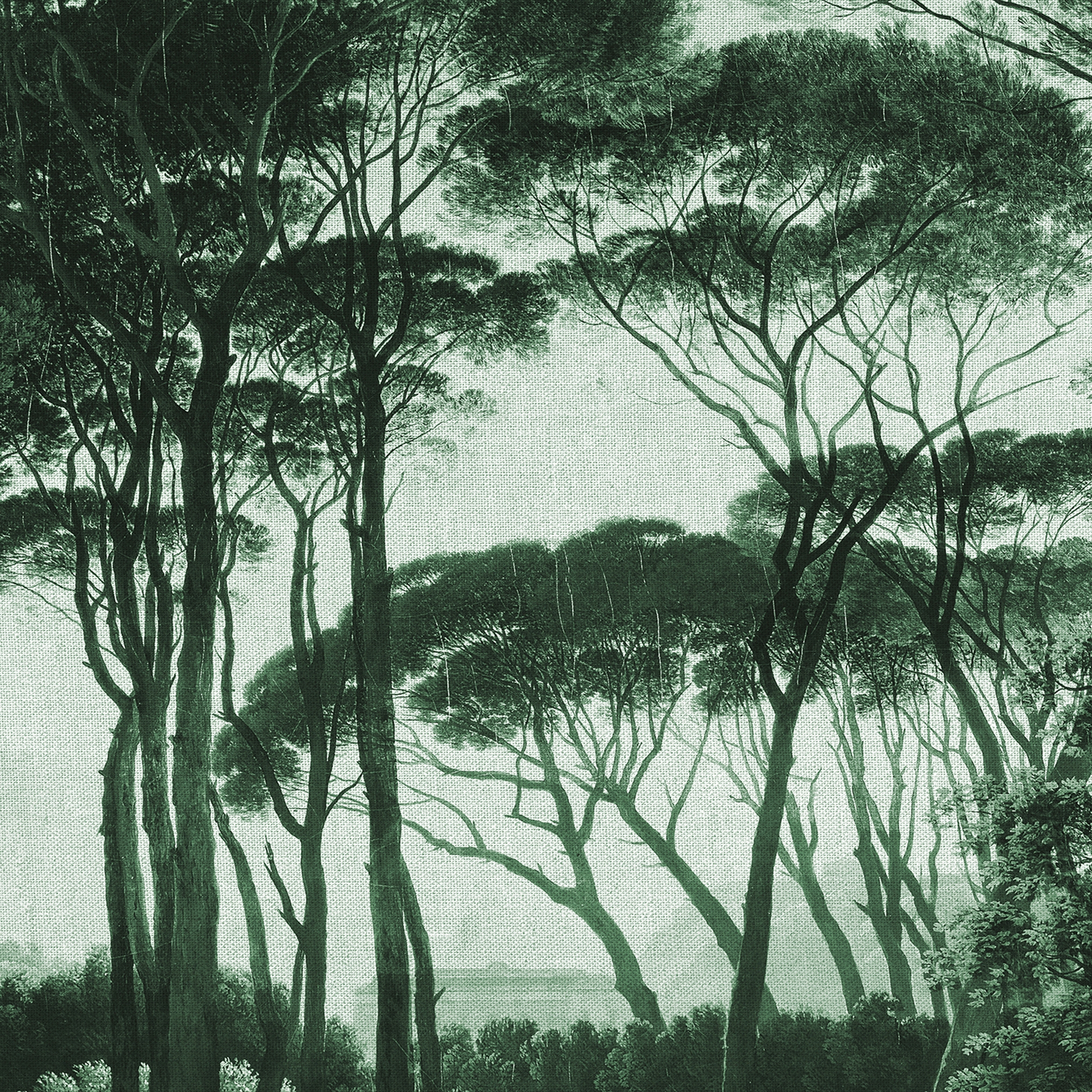 Display product Atelier 47 | Wallpaper DD117880 Treetops2 from manufacturer Architects Paper