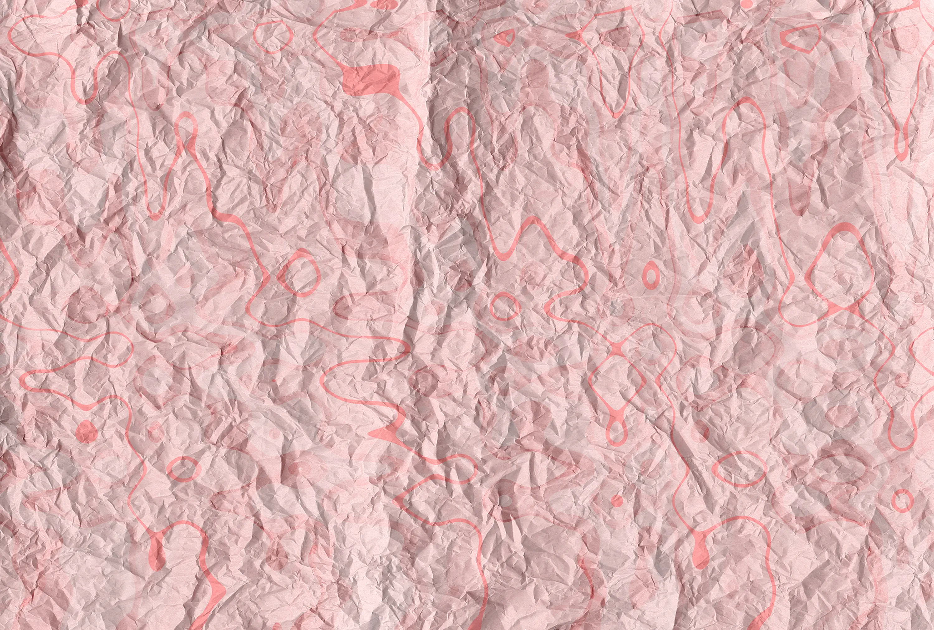 gallery-slide-0