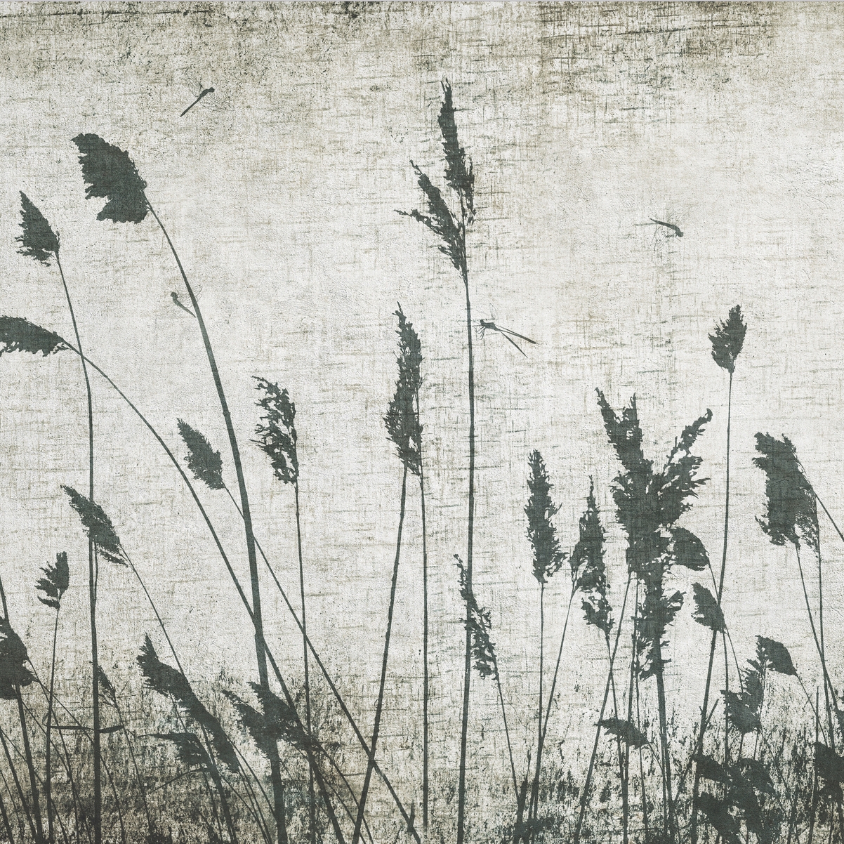 Afficher le produit AP Contract | Digital Printed Wallpaper | Grass DD120516 du fabricant Architects Paper
