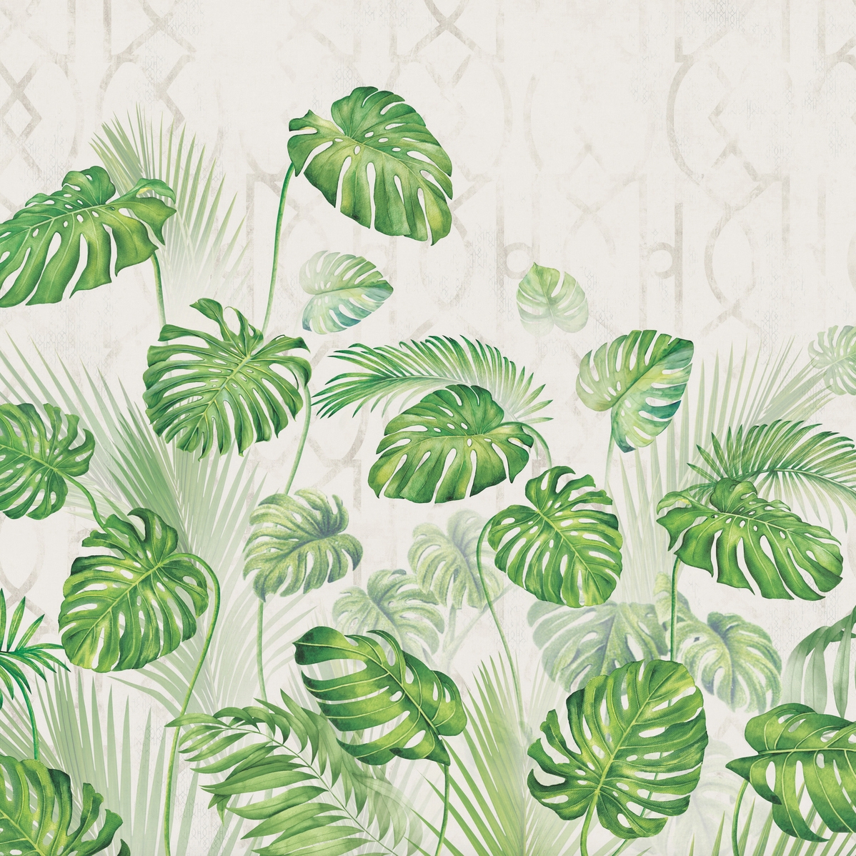 AP Contract | Digital Printed Wallpaper | Monstera I DD120524