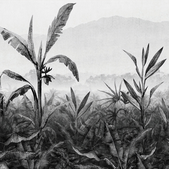 AP Contract | Digital Printed Wallpaper | Banana Plantation II DD120536