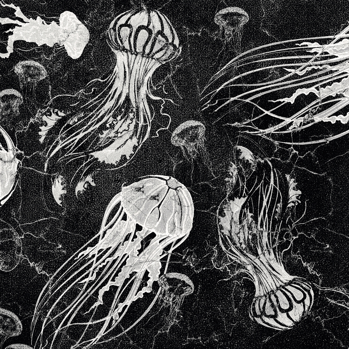AP Contract | Digital Printed Wallpaper | Jellyfish II DD120549