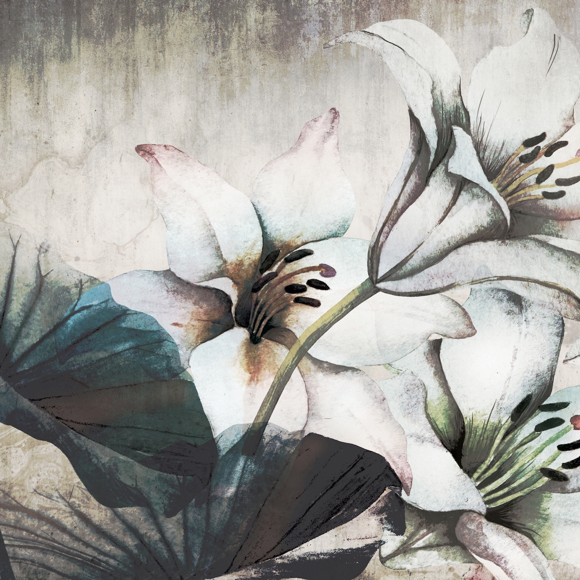 Mostra il prodotto AP Contract | Digital Printed Wallpaper | White Lily DD120552 del produttore Architects Paper