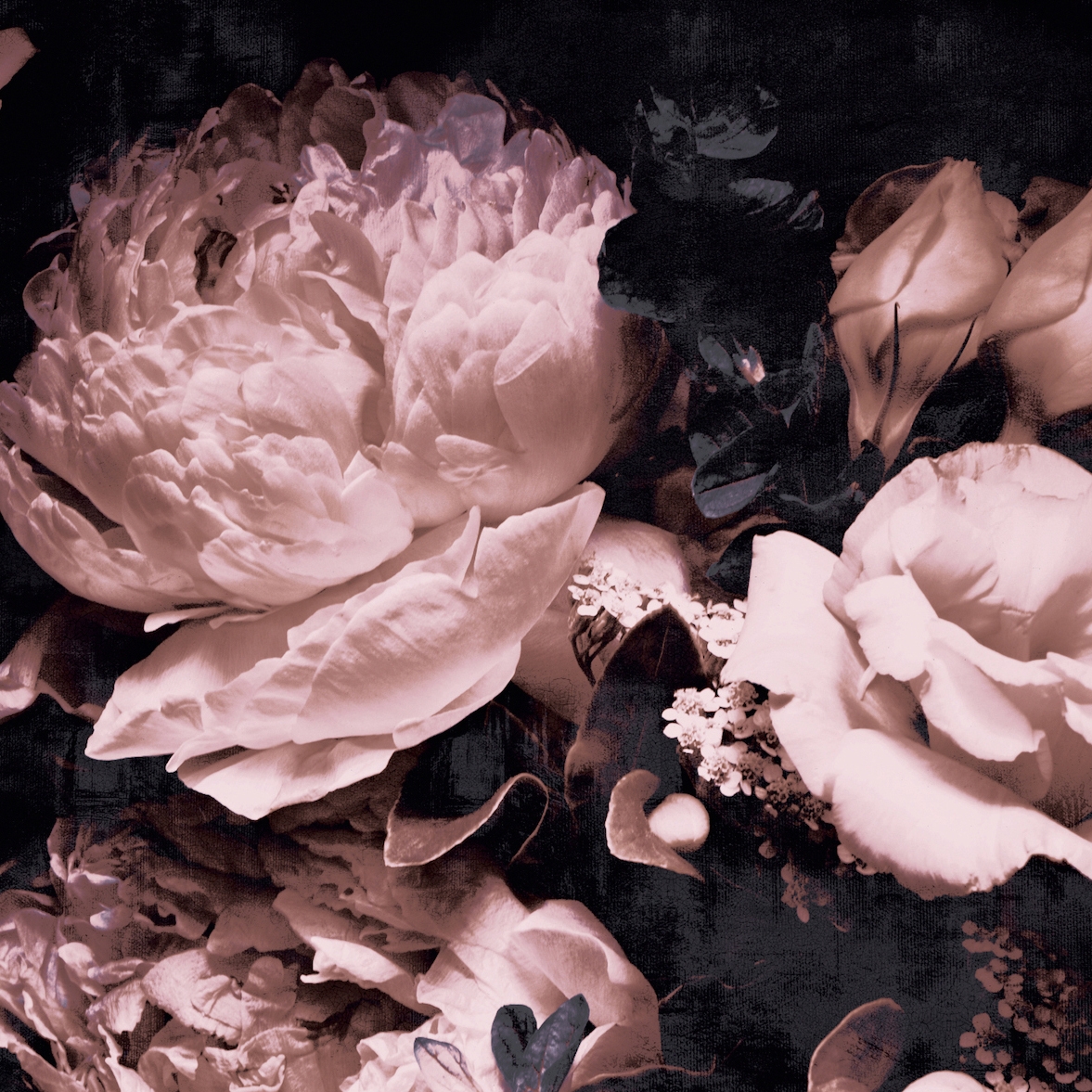 Mostra il prodotto AP Contract | Digital Printed Wallpaper | Rosy Roses DD120557 del produttore Architects Paper