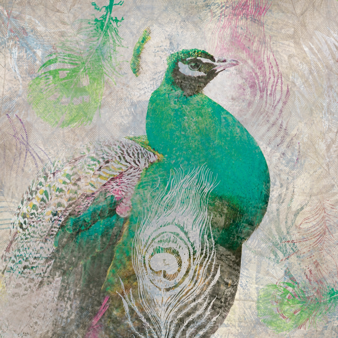 Afficher le produit AP Contract | Digital Printed Wallpaper | Peacock DD120575 du fabricant Architects Paper