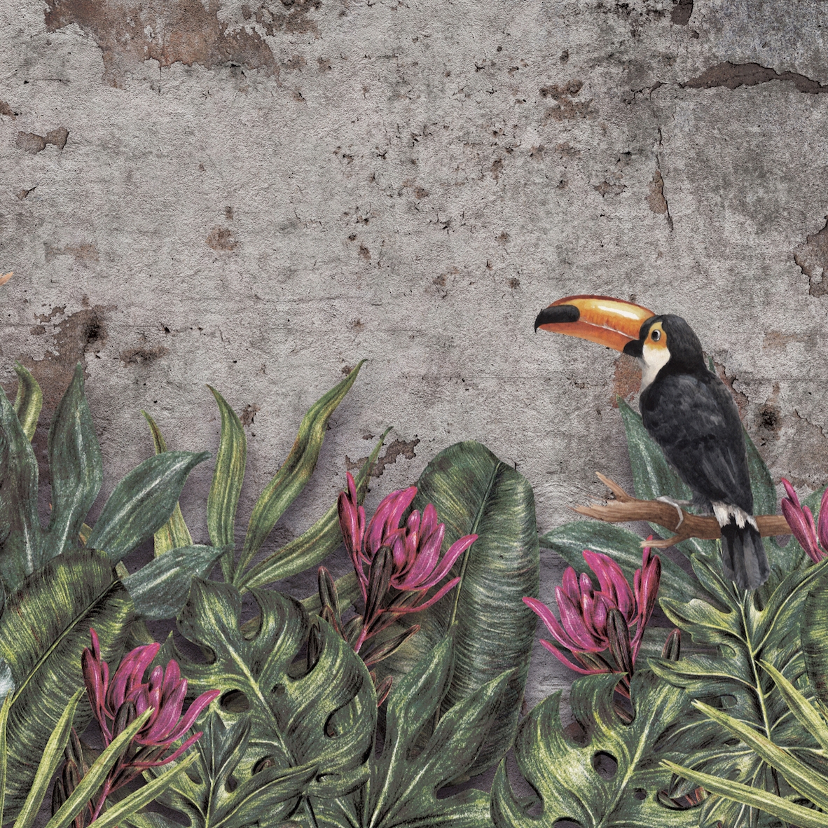 Display product AP Contract | Digital Printed Wallpaper | Tucan DD120587 from manufacturer Architects Paper