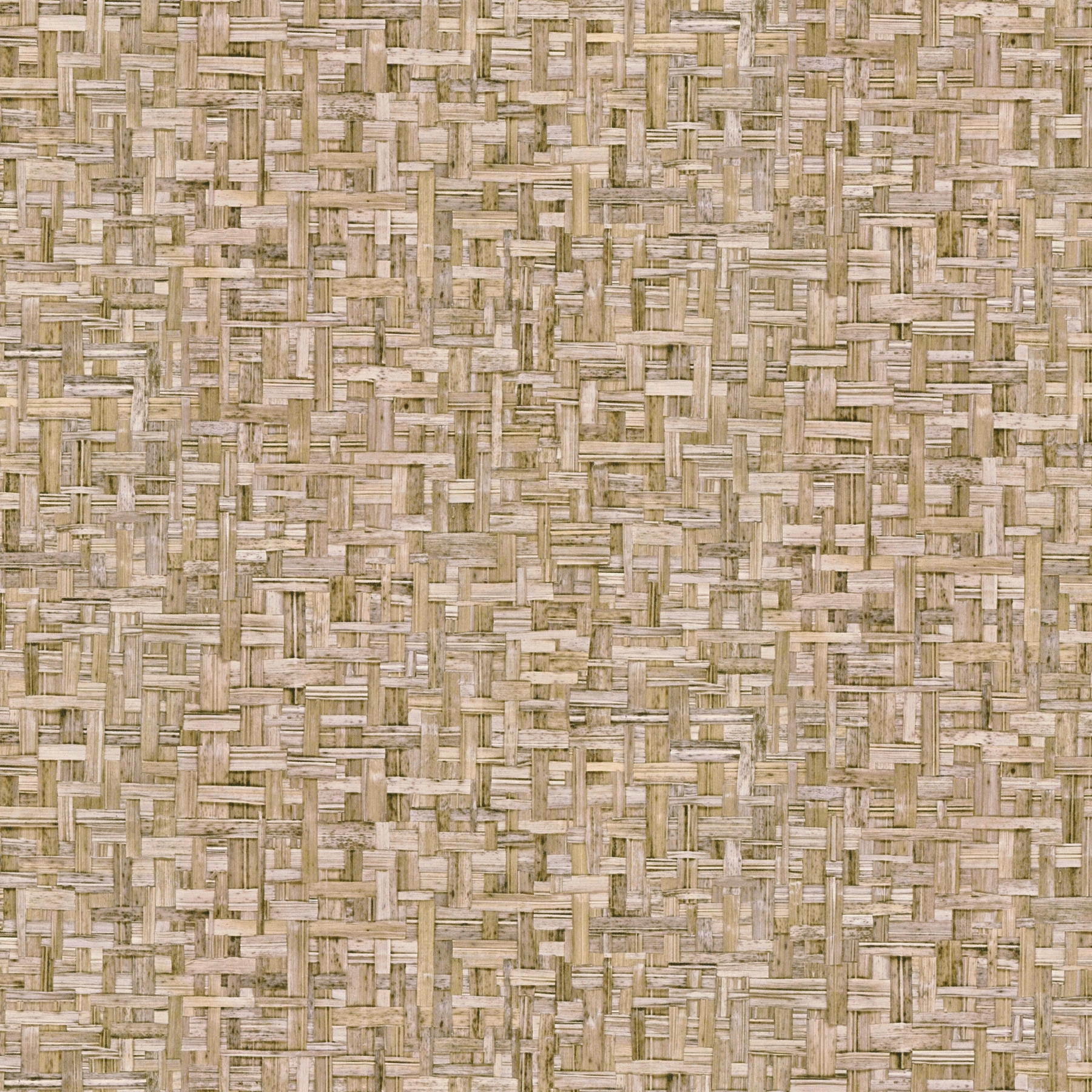 Display product Jungle Chic | Wallpaper Jungle Chic - 5 | 377062 from manufacturer Architects Paper