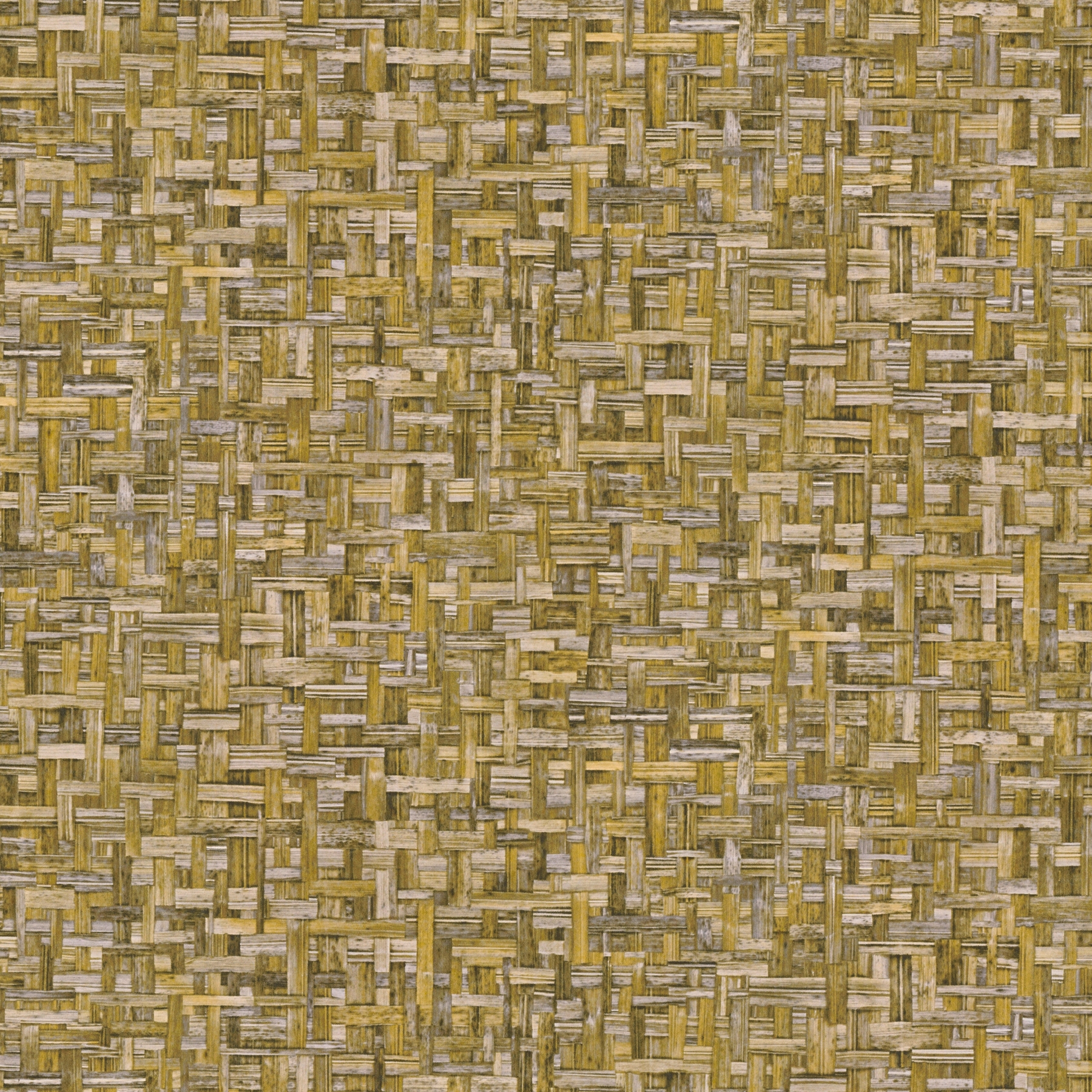 Vertoon produk Jungle Chic | Wallpaper Jungle Chic - 5 | 377064 van vervaardiger Architects Paper
